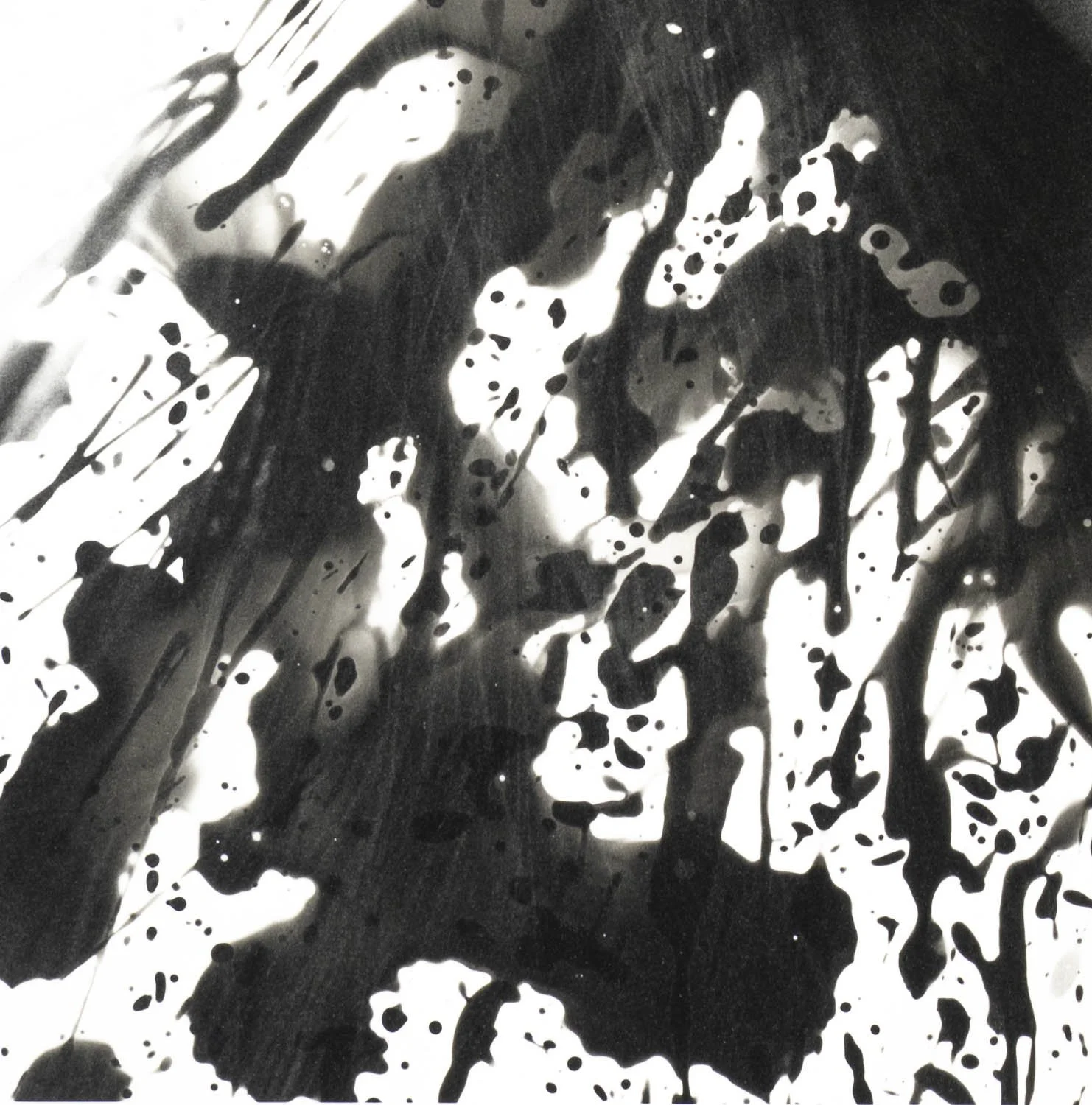 Peaceful Minds II 2-15.jpg