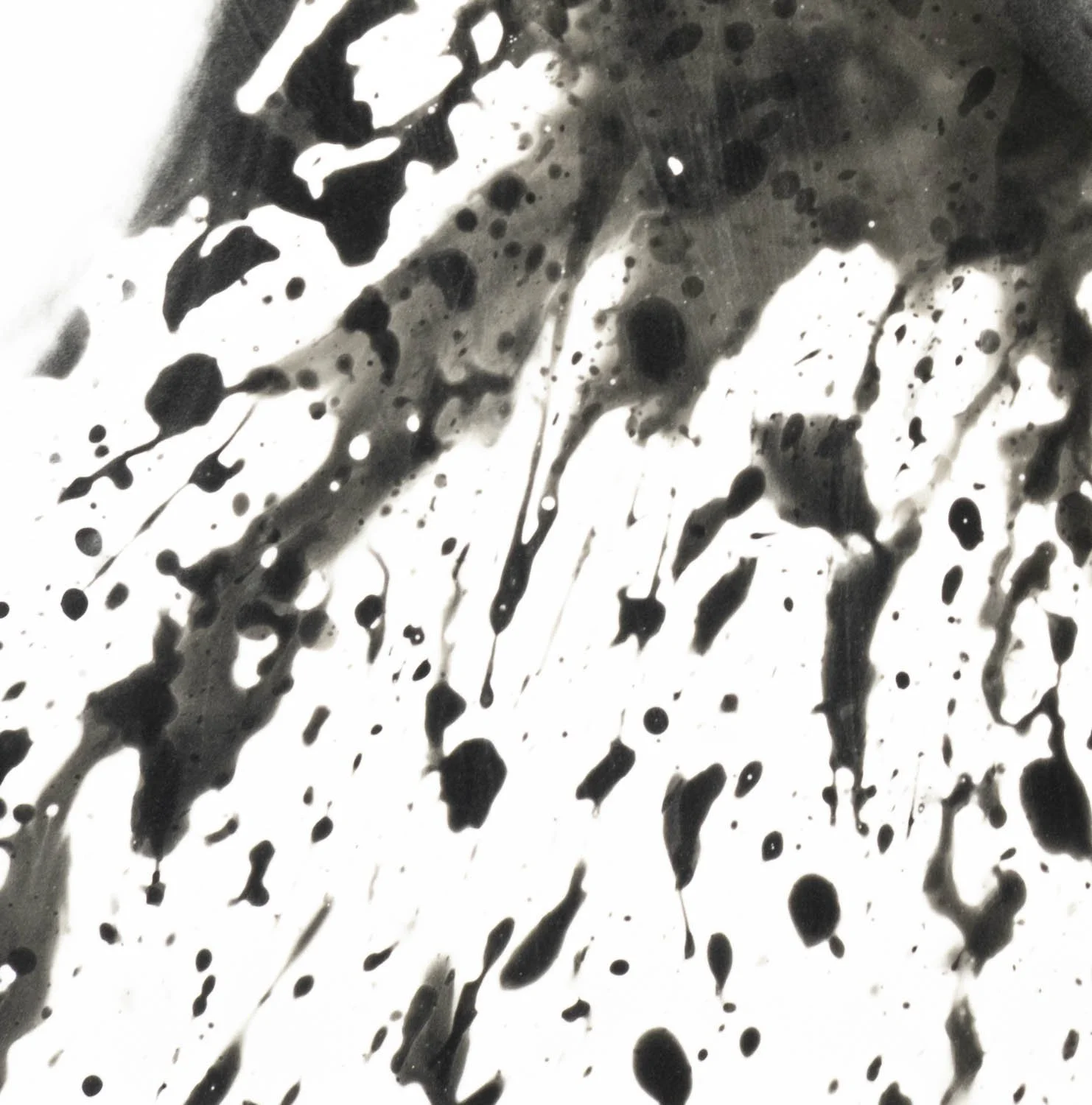 Peaceful Minds II 4-15.jpg