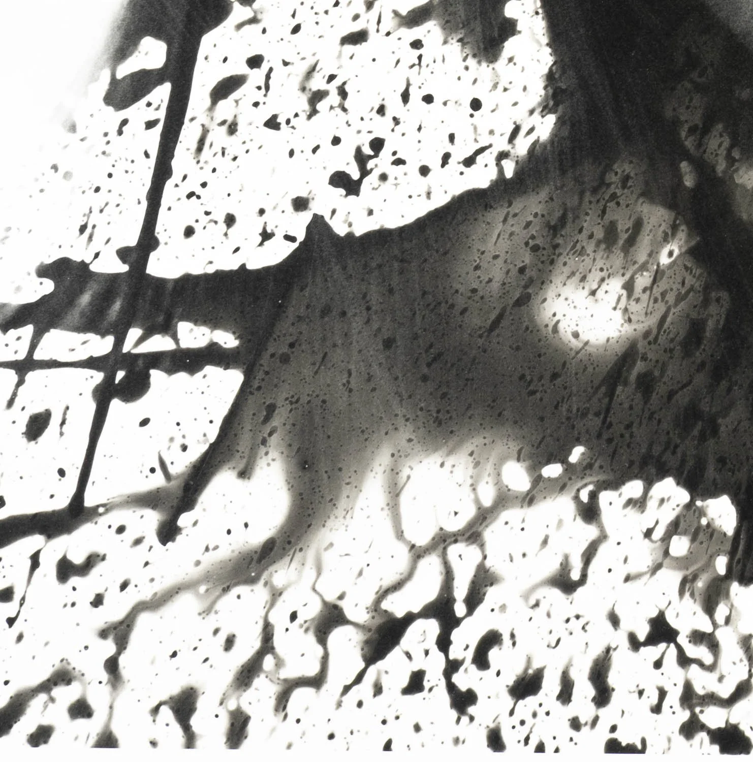 Peaceful Minds II 9-15.jpg