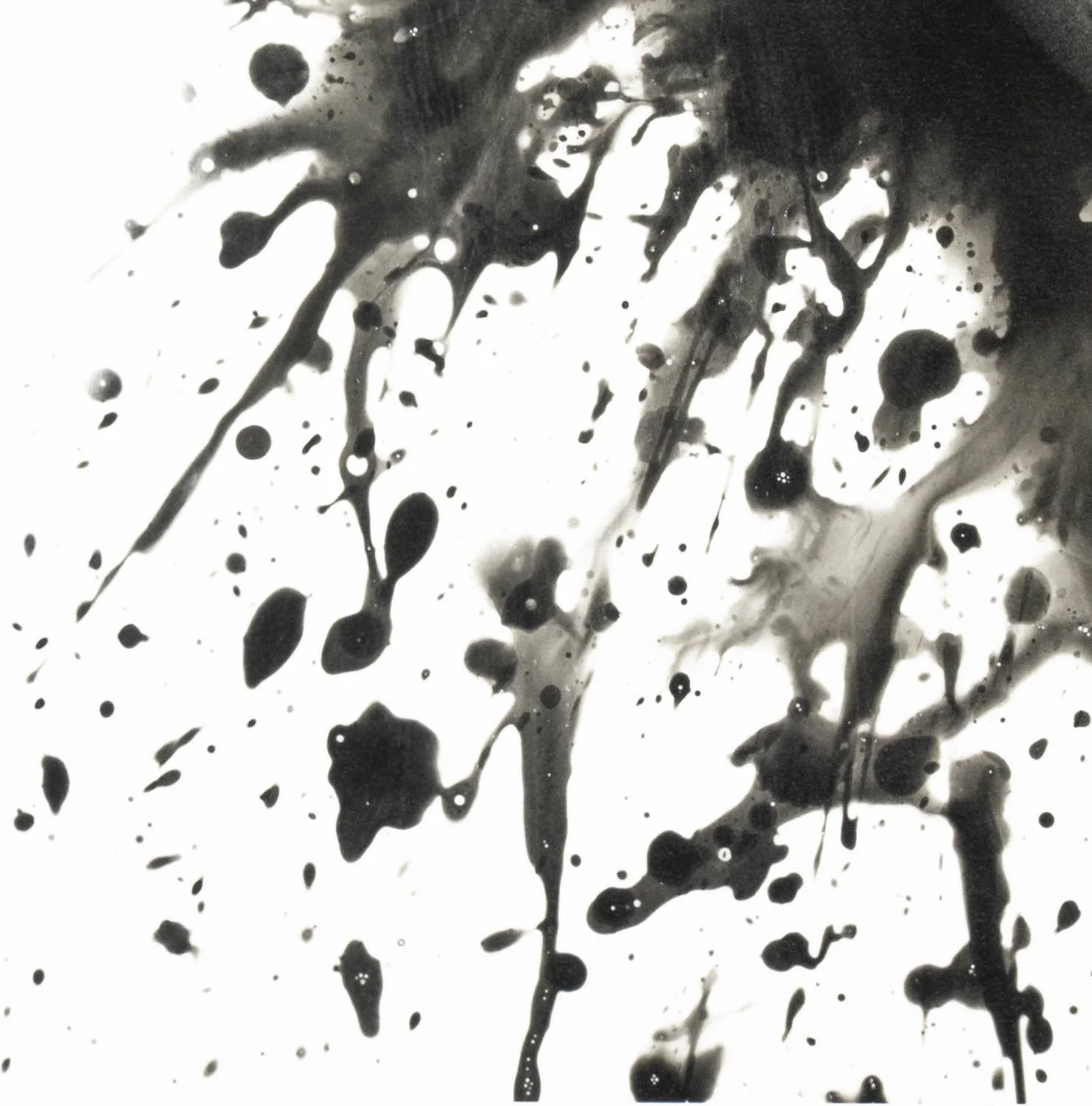 Peaceful Minds II 5-15.jpg