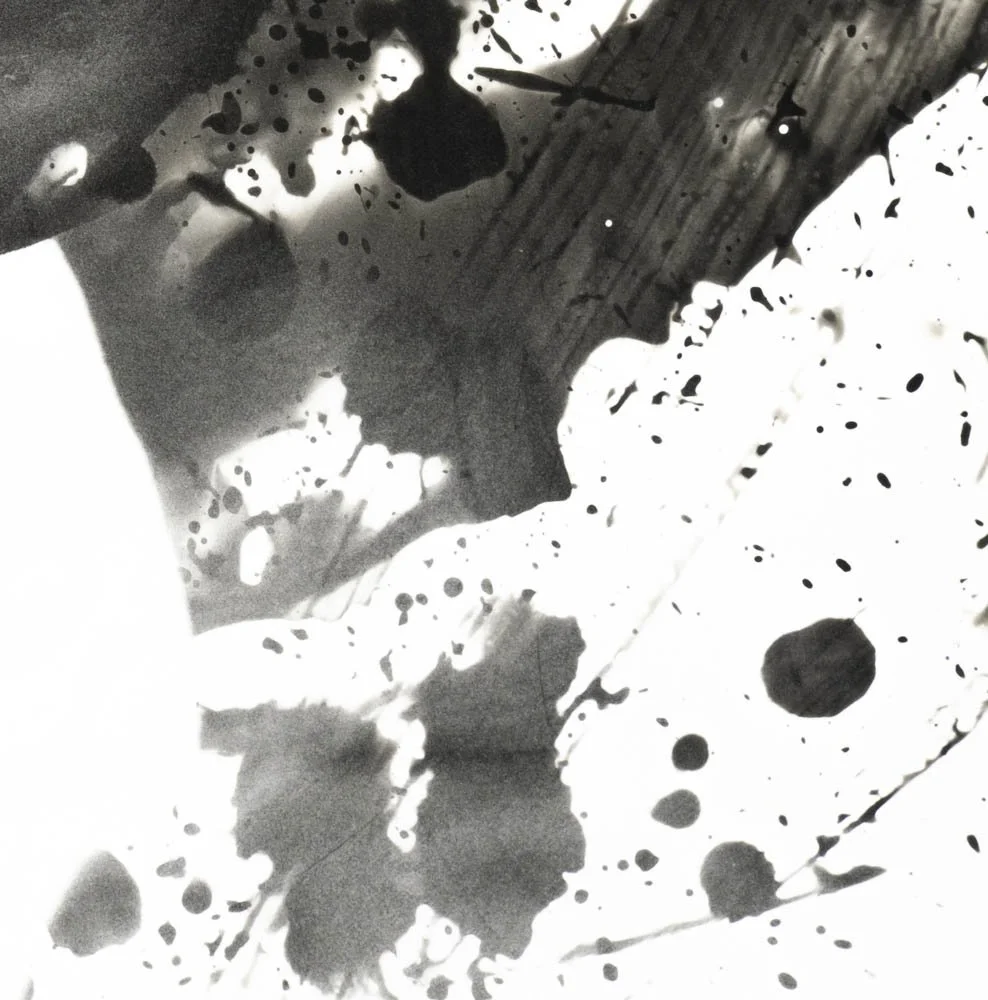 Peaceful Minds I 2-15.jpg