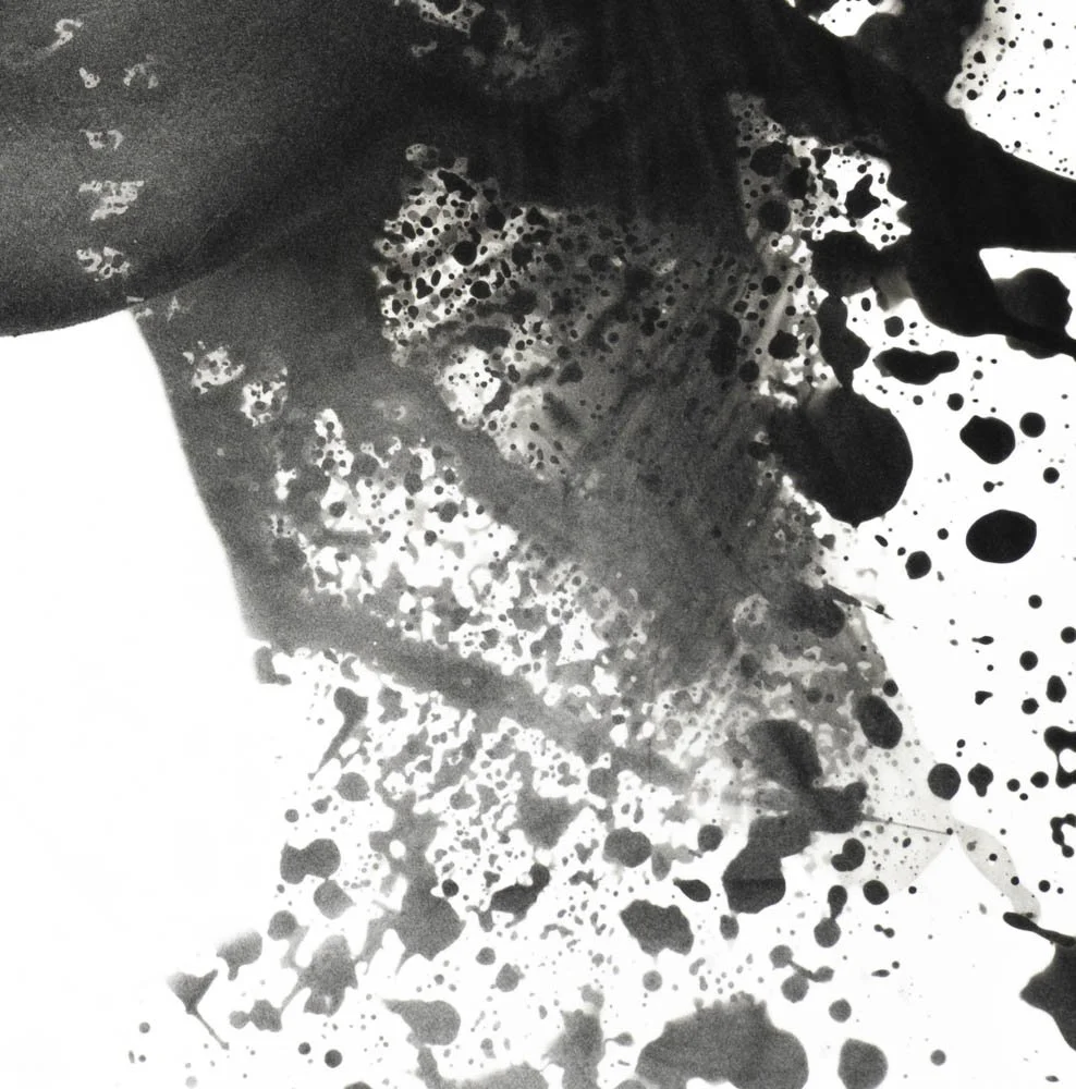 Peaceful Minds I 7-15.jpg