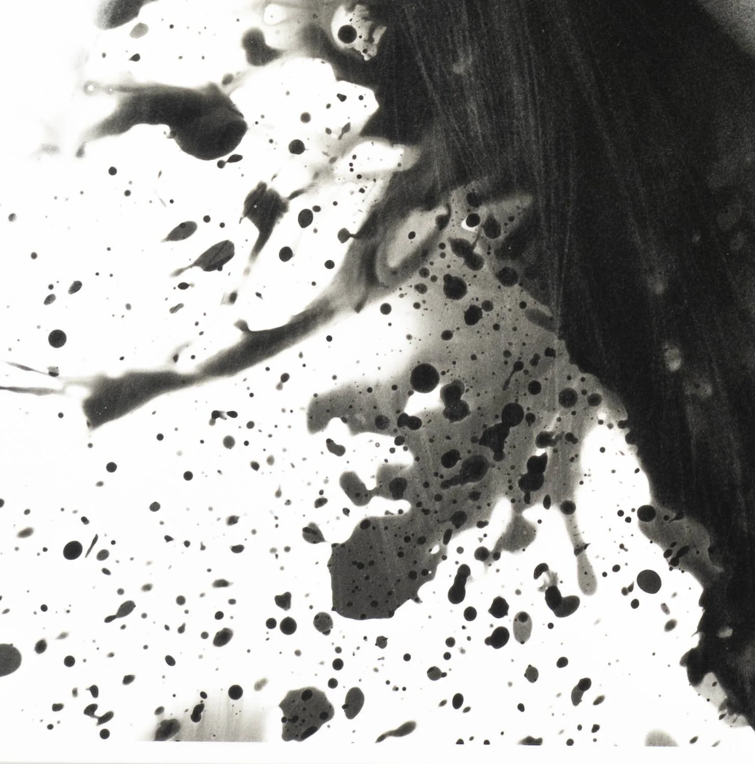 Peaceful Minds II 13-15.jpg