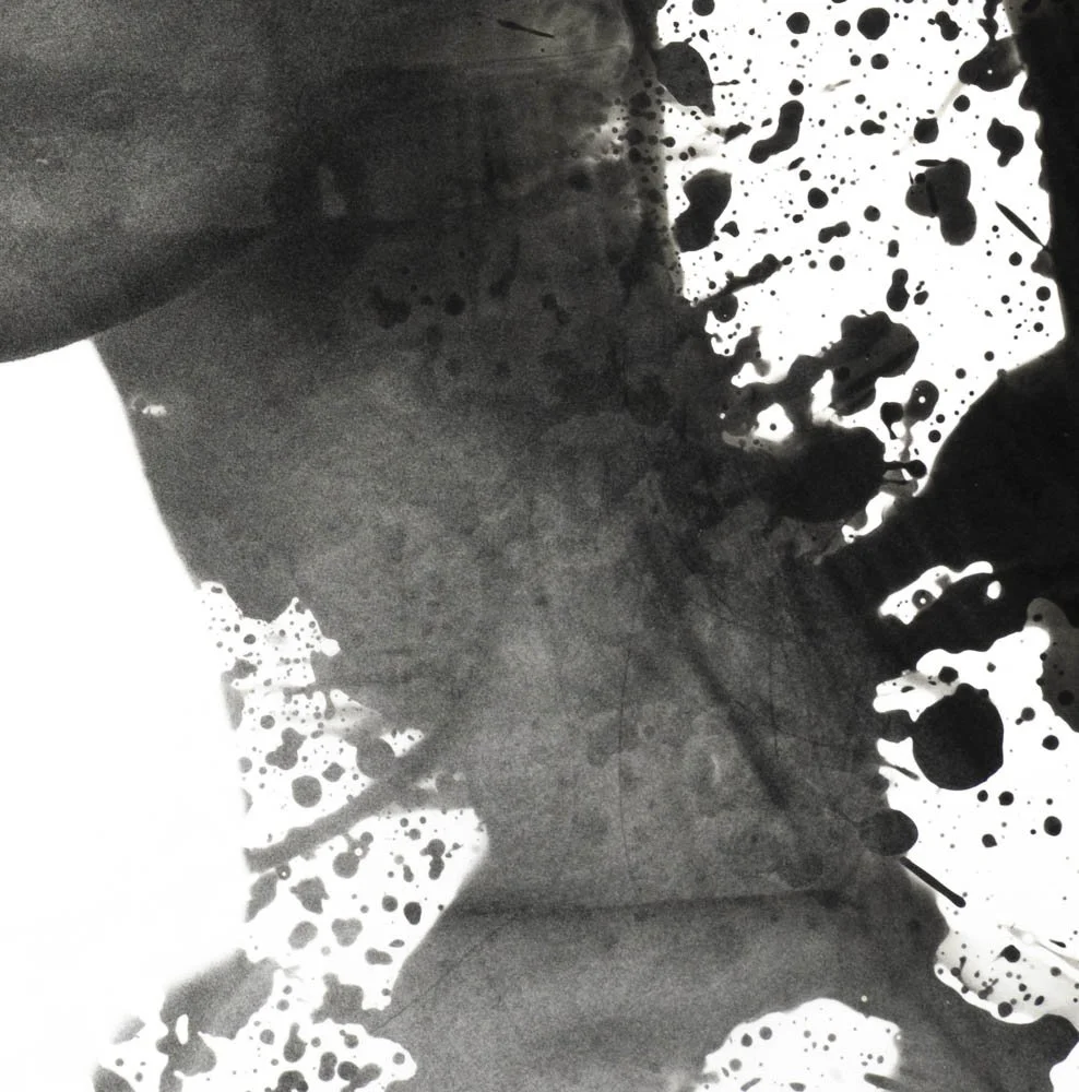 Peaceful Minds I 13-15.jpg