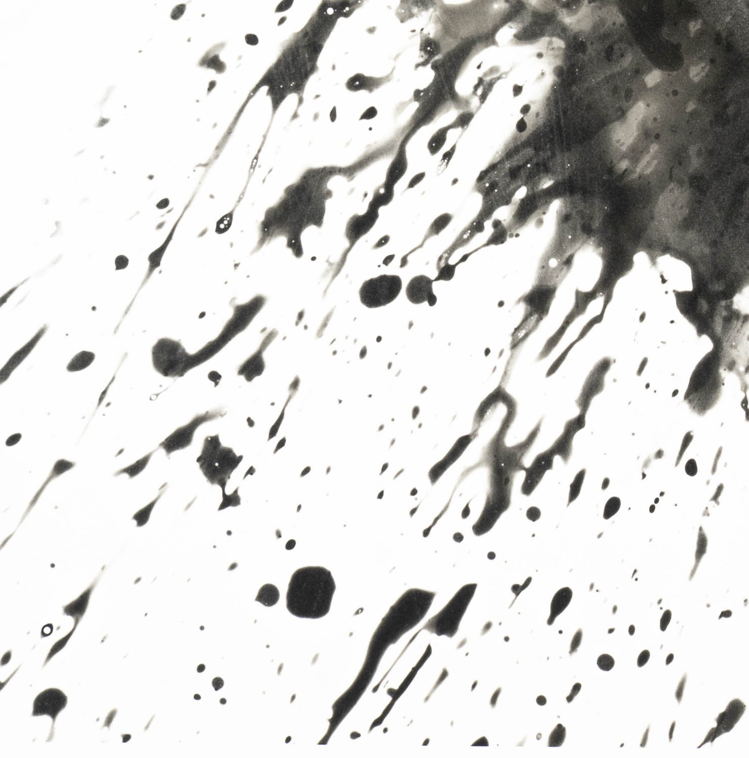 Peaceful Minds II 8-15.jpg