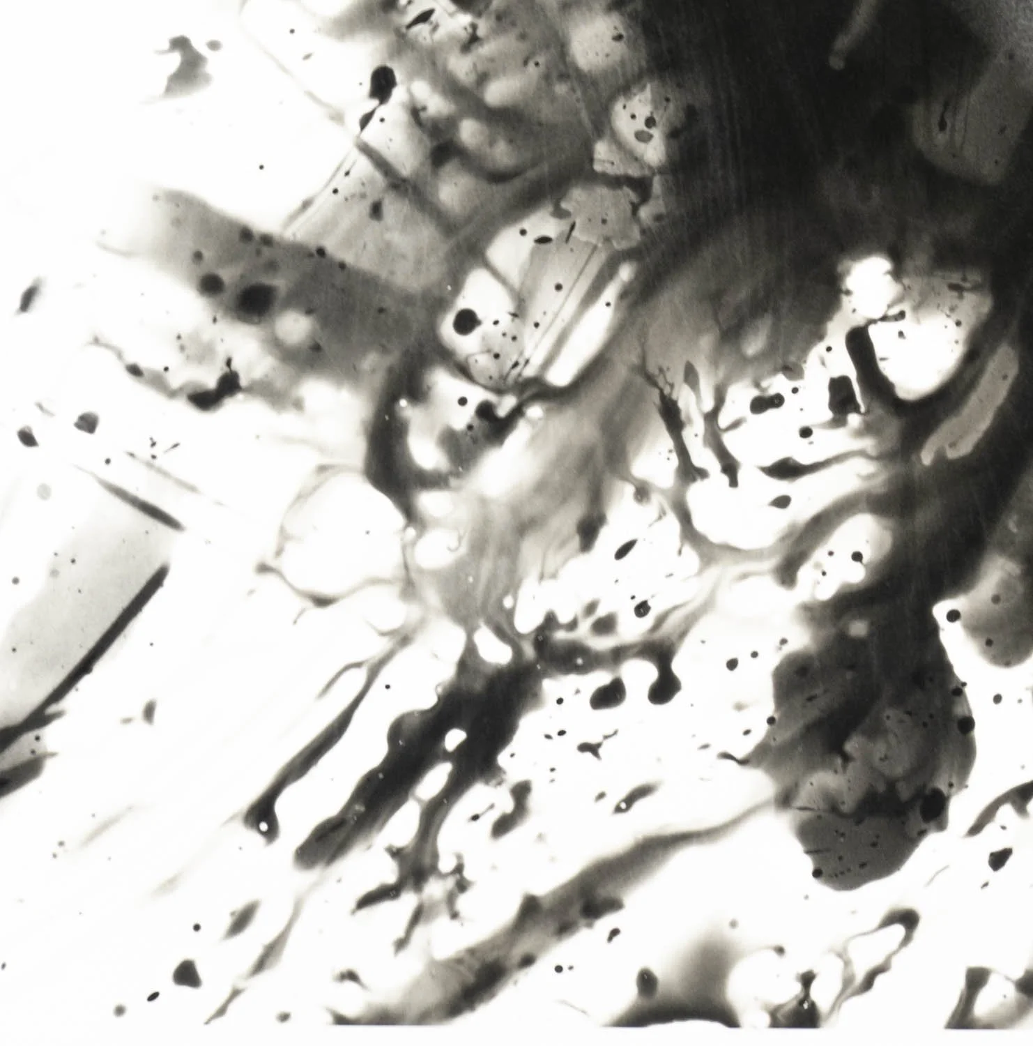 Peaceful Minds II 6-15.jpg