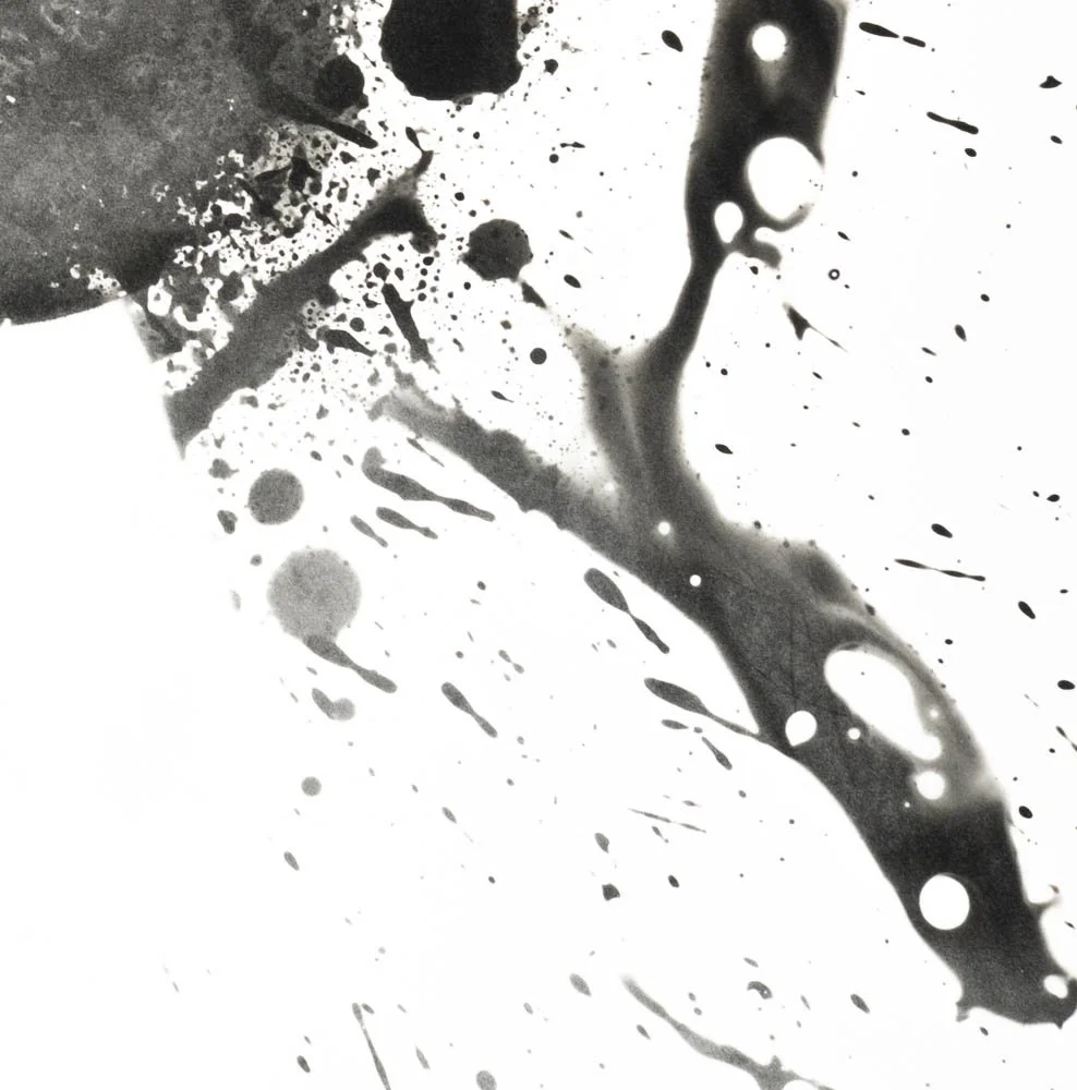 Peaceful Minds I 6-15.jpg