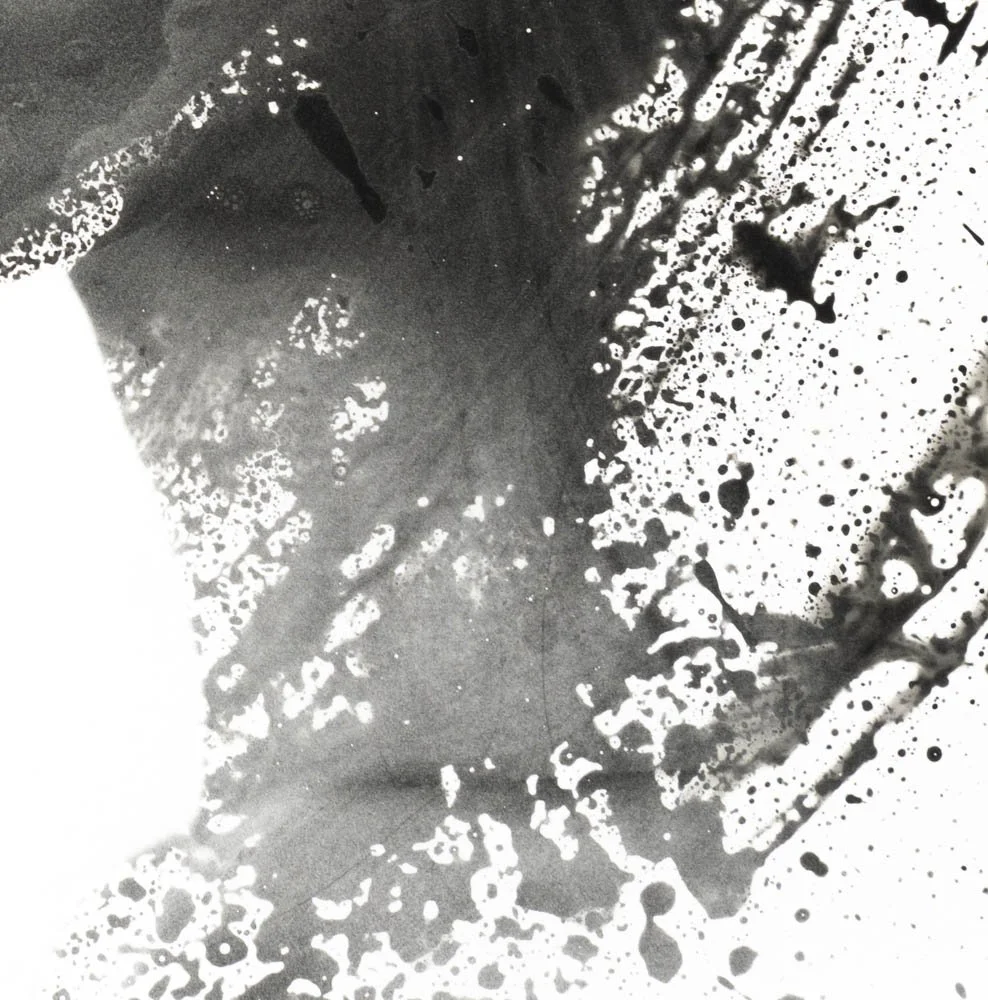 Peaceful Minds I 4-15.jpg