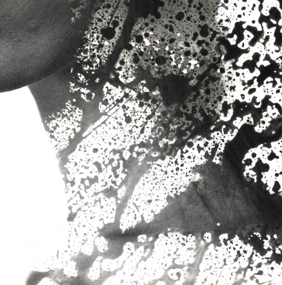 Peaceful Minds I 15-15.jpg