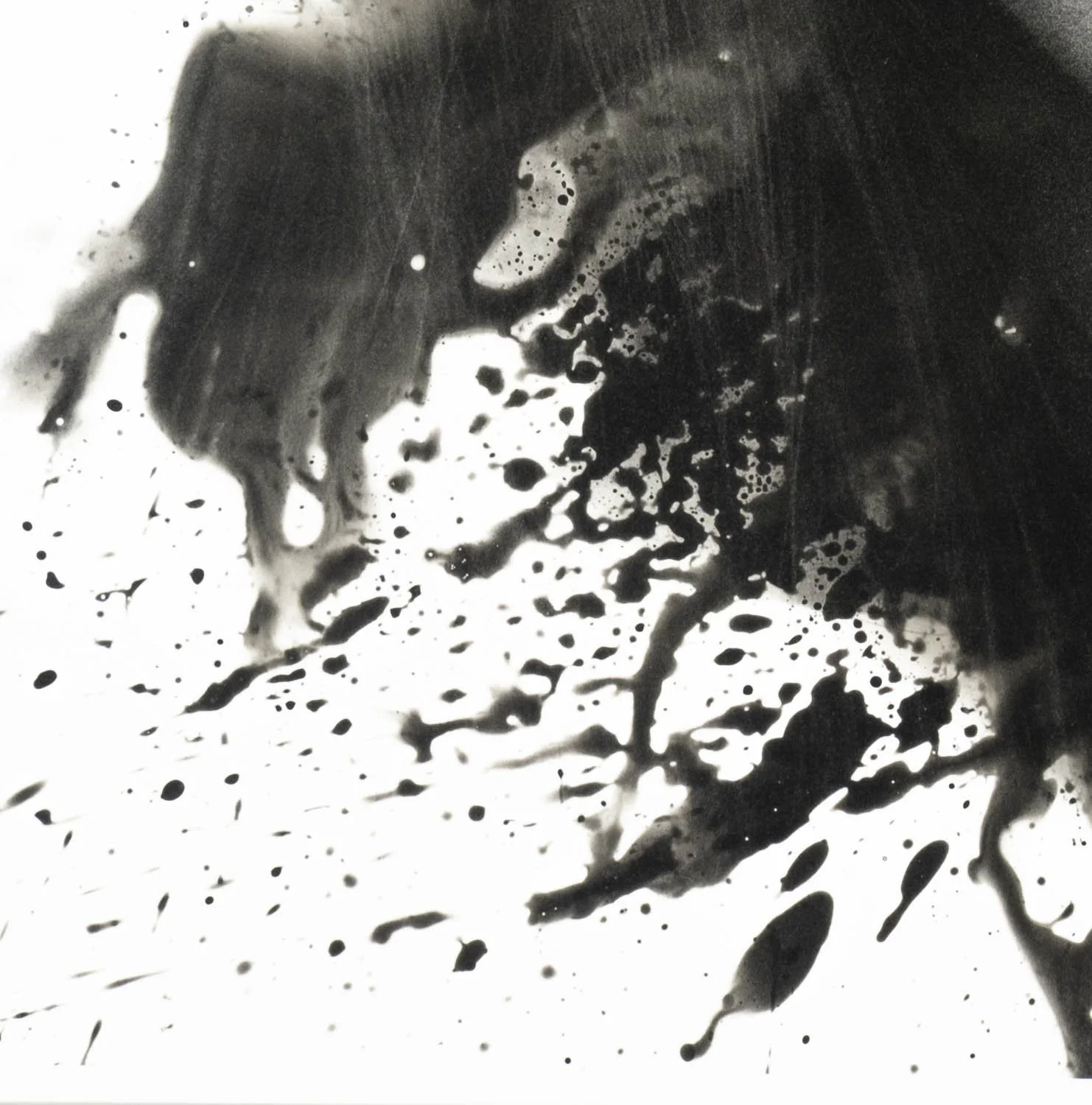 Peaceful Minds II 14-15.jpg