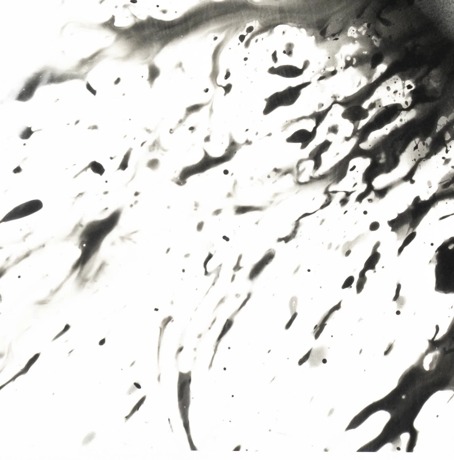 Peaceful Minds II 7-15.jpg