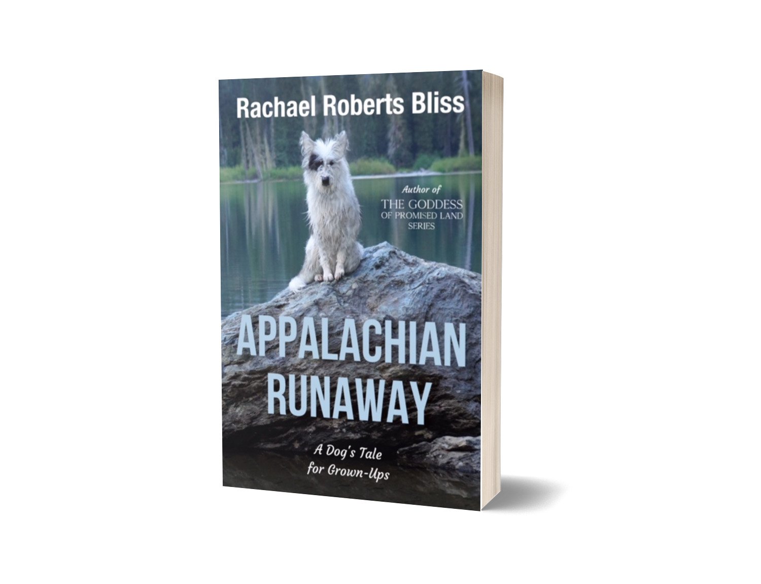 Appalachian Runaway 3D front cover.jpg