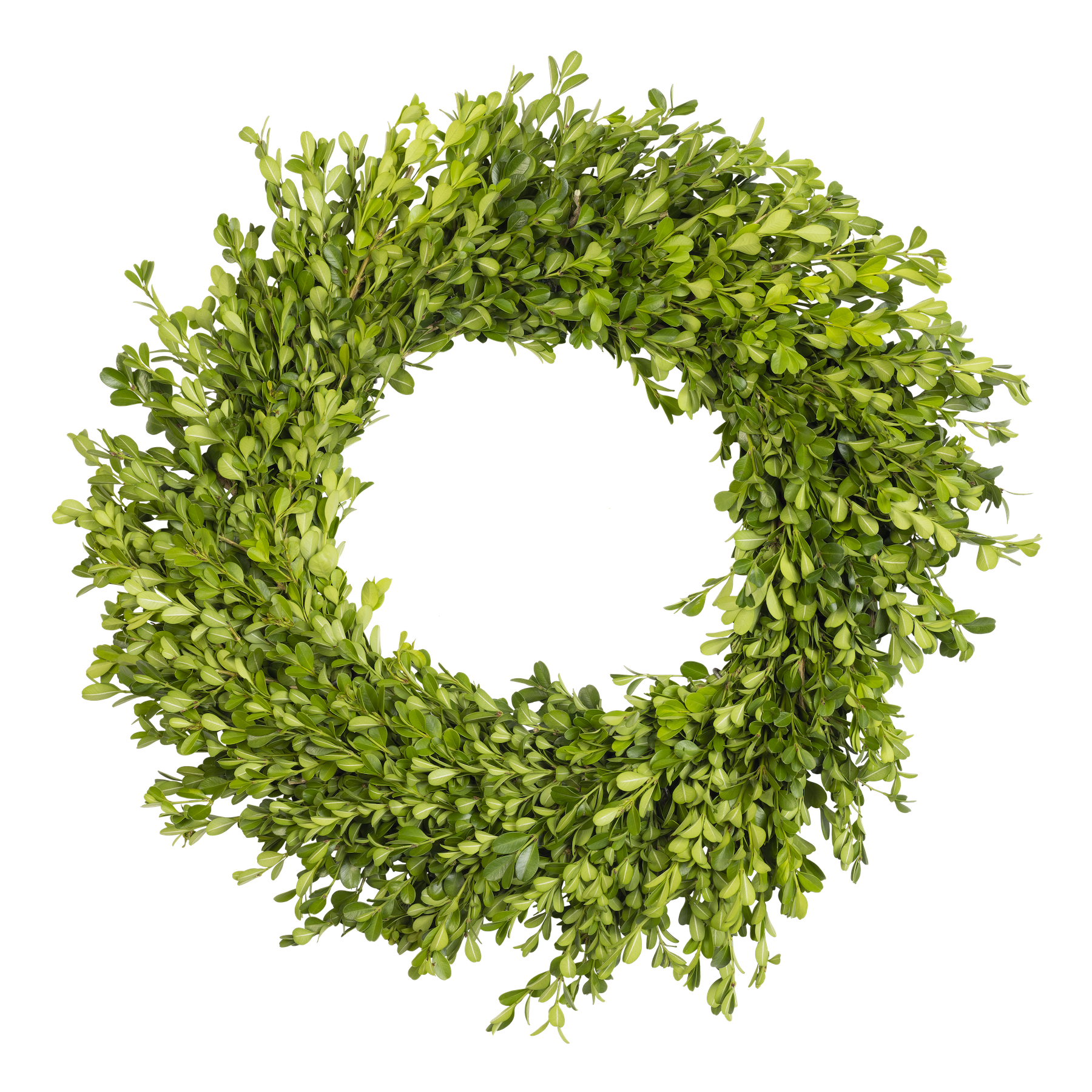 BoxwoodWreath.png
