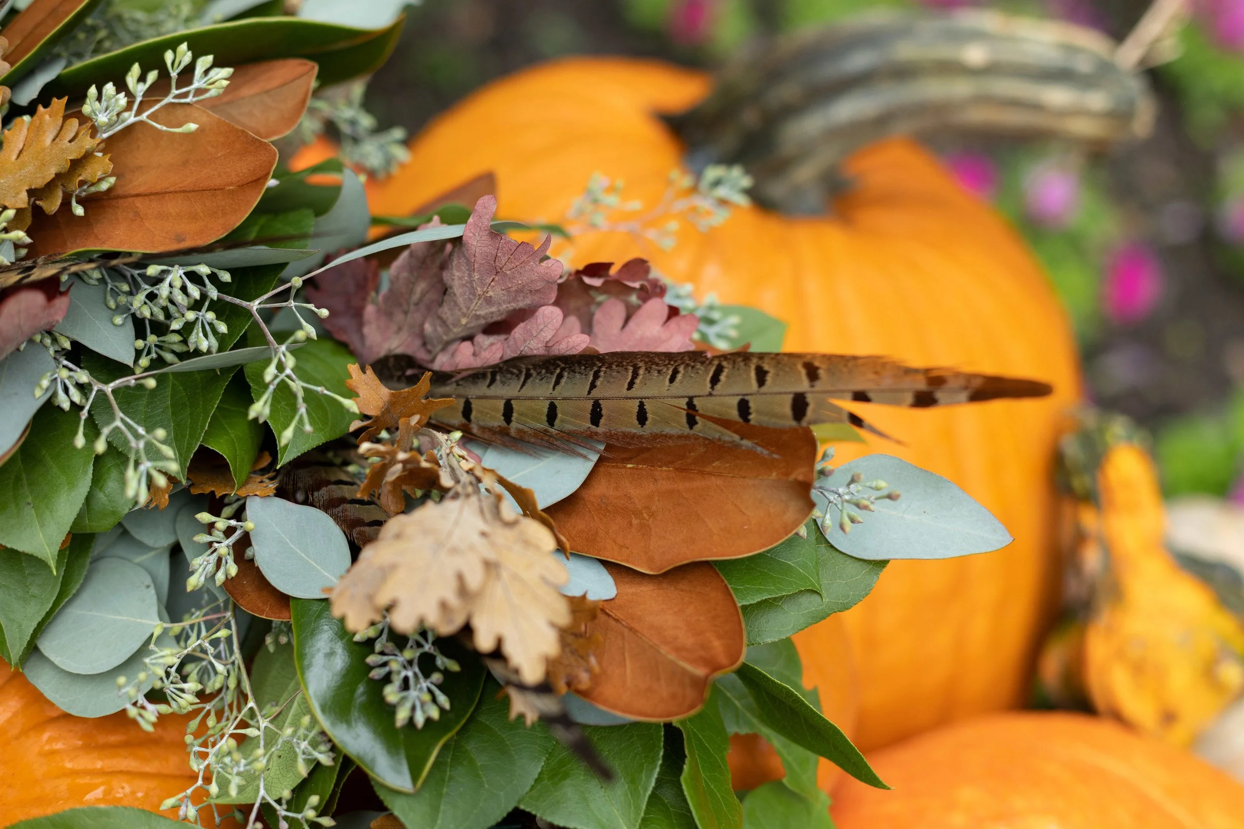 FallColorWreathFeather.jpg