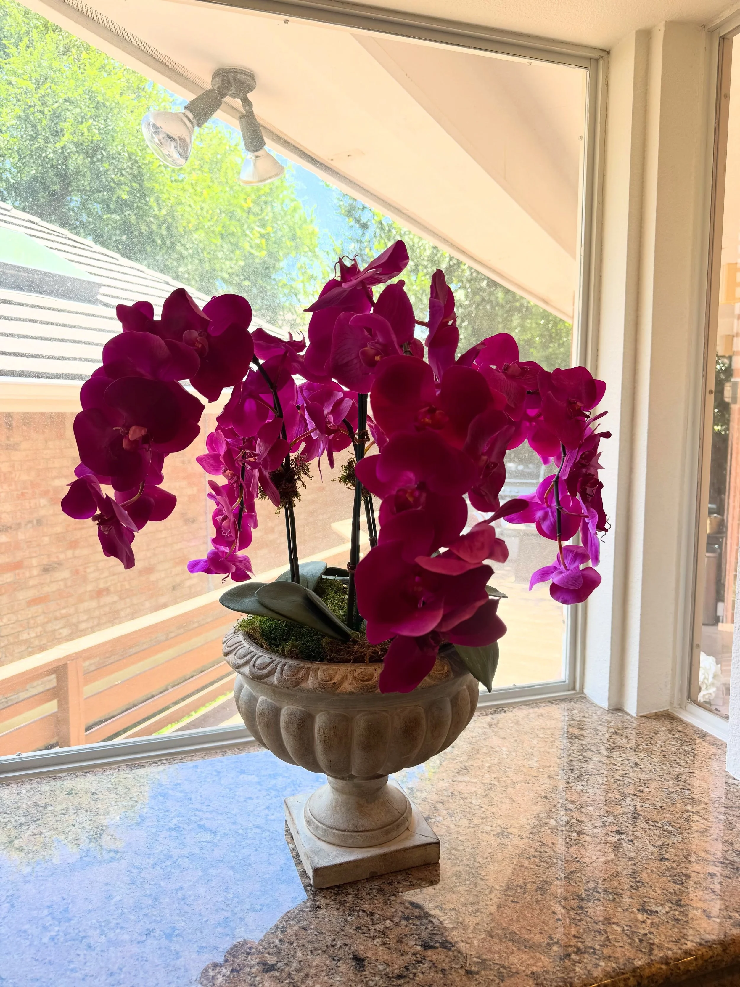 Just what the kitchen window ordered! Beautiful, timeless, and maintenance free.
Available for local delivery throughout the San Antonio area.

Send us a DM!💕