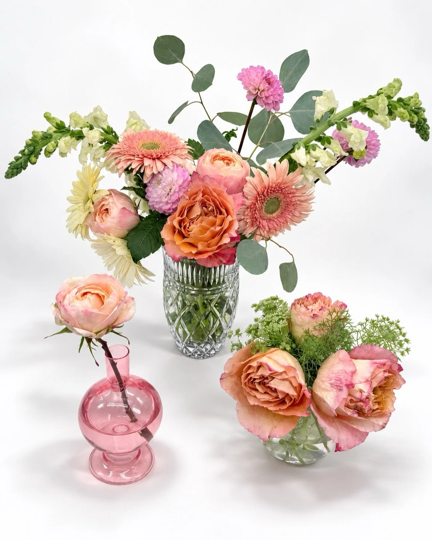Your Green Box Co. bouquet, three ways. 💐

Make the most of your weekly florals by spreading the blooms around your home. One bouquet, a little something fresh for every room.