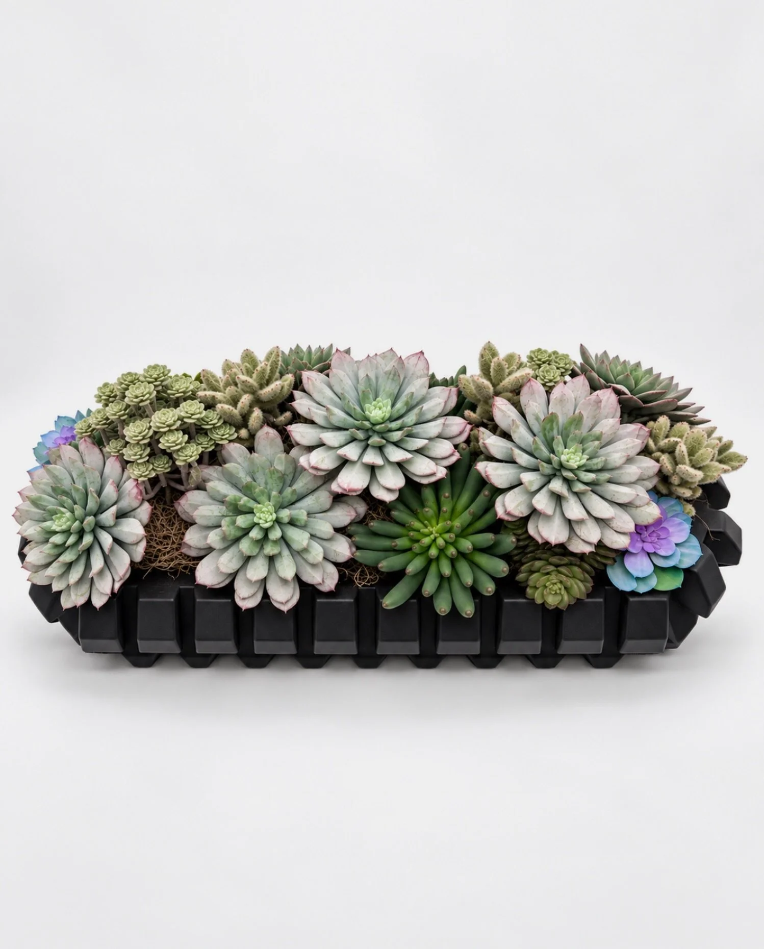 We loved creating this custom faux succulent for a South Texas ranch!

Have a container that would be perfect as a succulent centerpiece? We&rsquo;d love to help bring it to life!