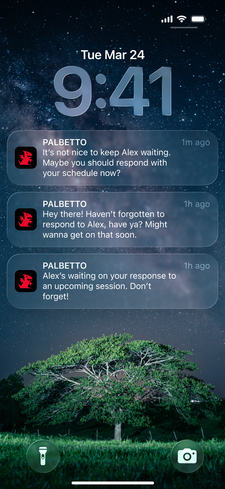 21 Push Notification Example 3.png