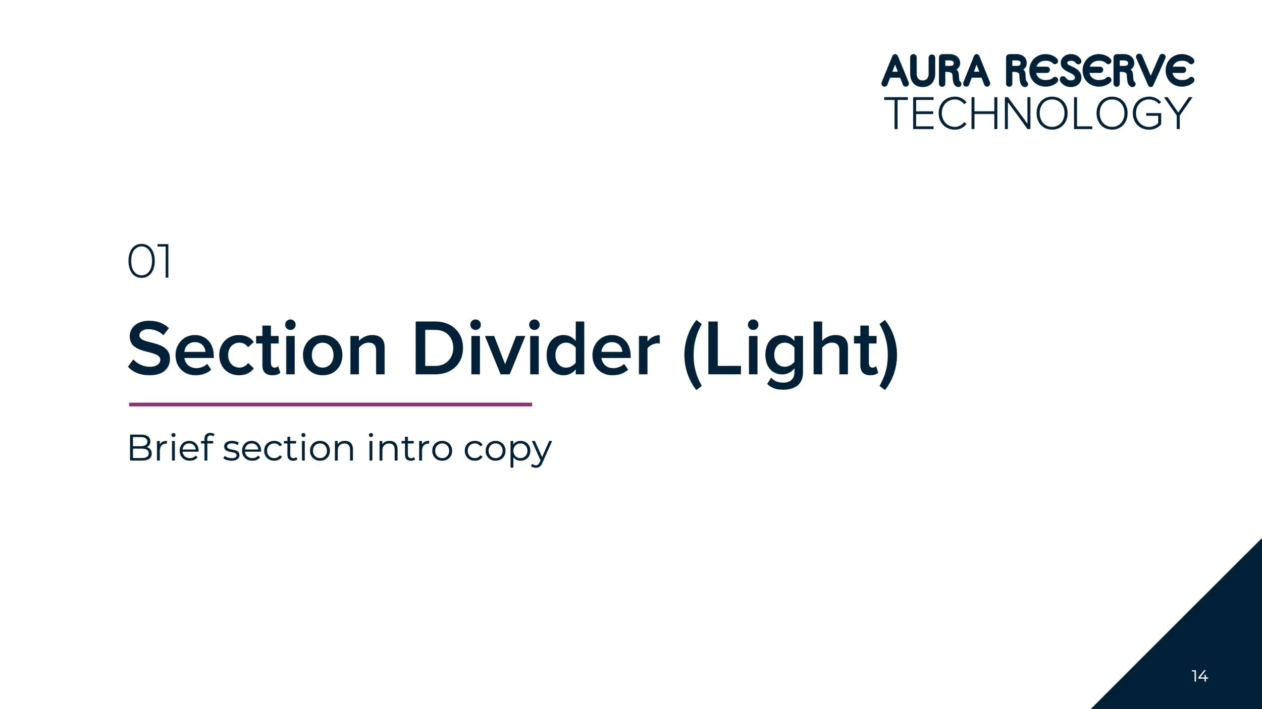 Section Divider (Light)