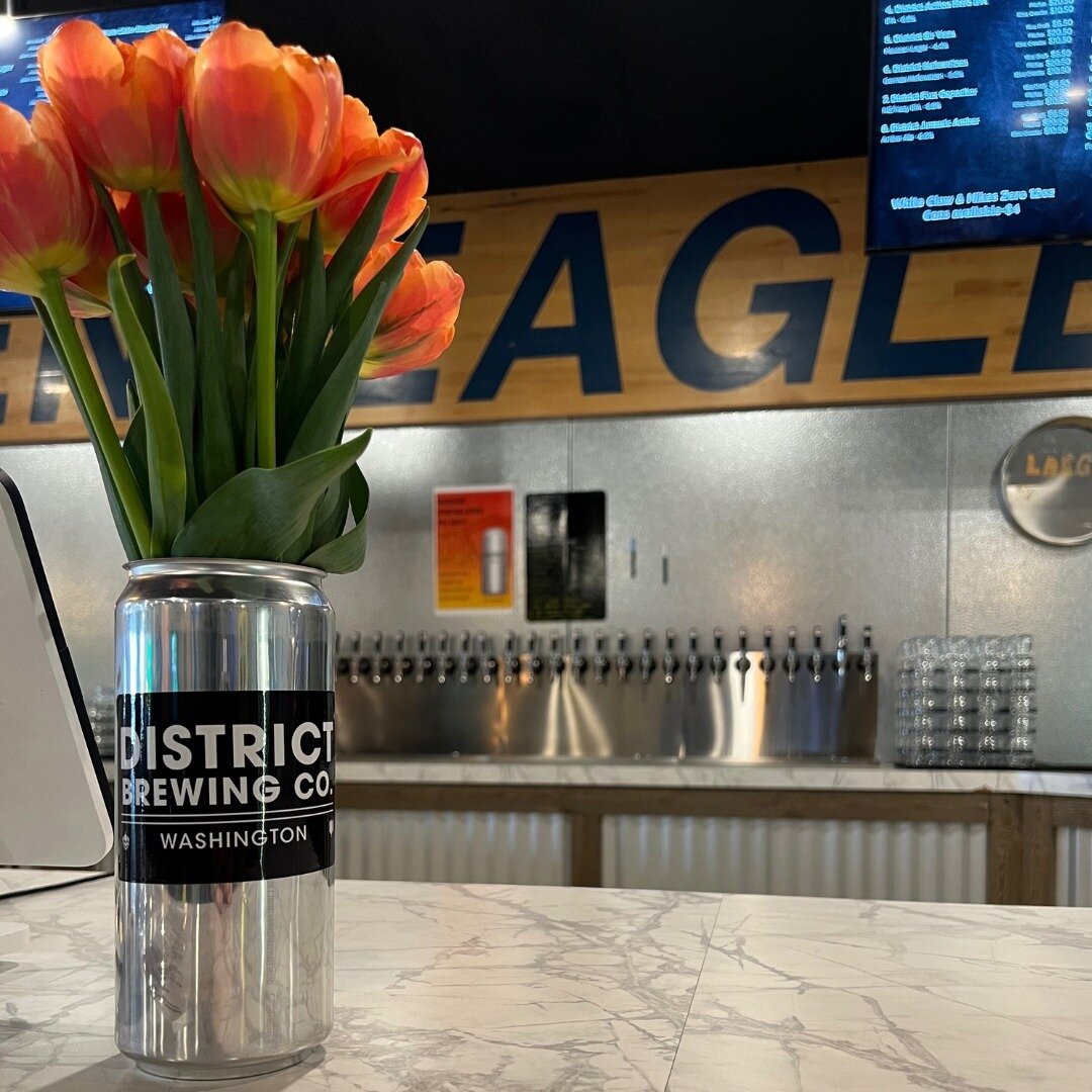 Tulips - &ldquo;The flower that follows the sun does so even on cloudy days.&rdquo; &ndash; Robert Leighton⁠
And boy are they beautiful. Get out and take a look. ⁠
⁠
#DistrictBrewing #DrinkDistrictBeers #DrinkLocal⁠
#FerndaleBrewery #FerndaleBeers #W