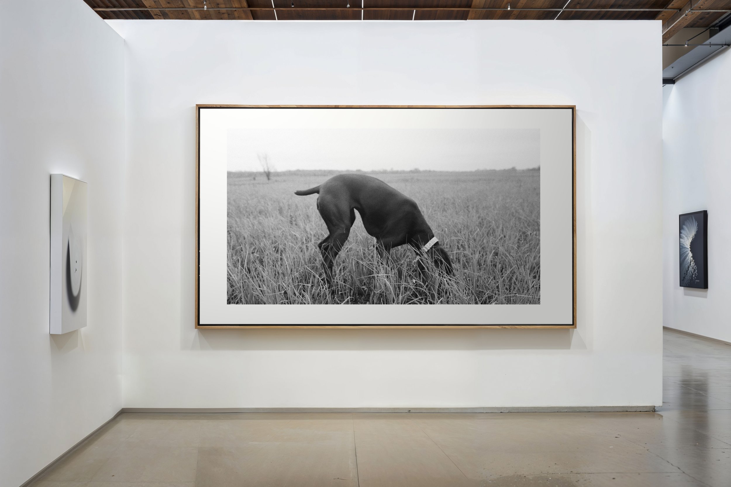 The_Background_Co_Gallery_Wall_Frame_Mockups-68 Pointer Outfield 3.jpg