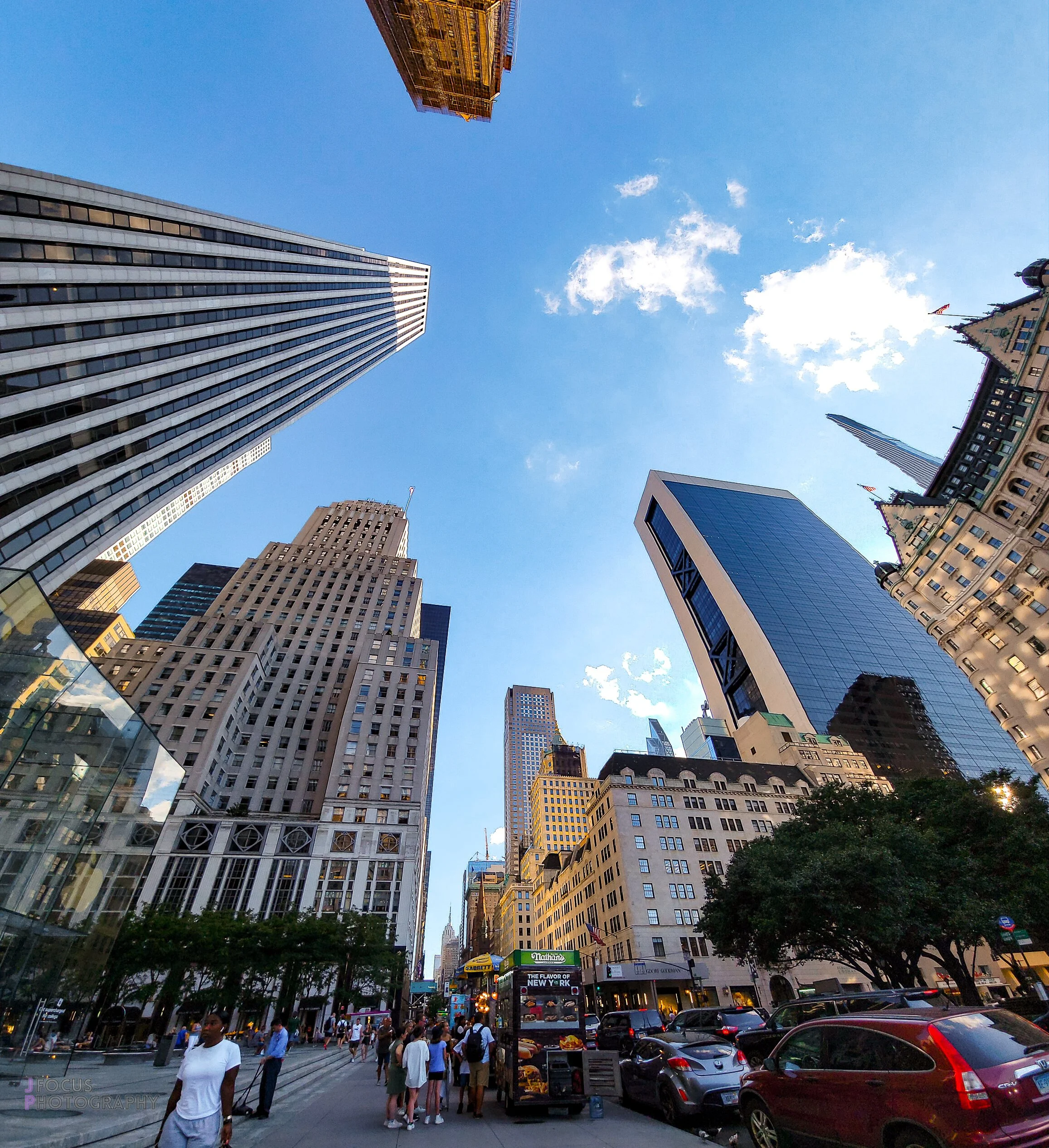 ConcreteJungle-31.jpg