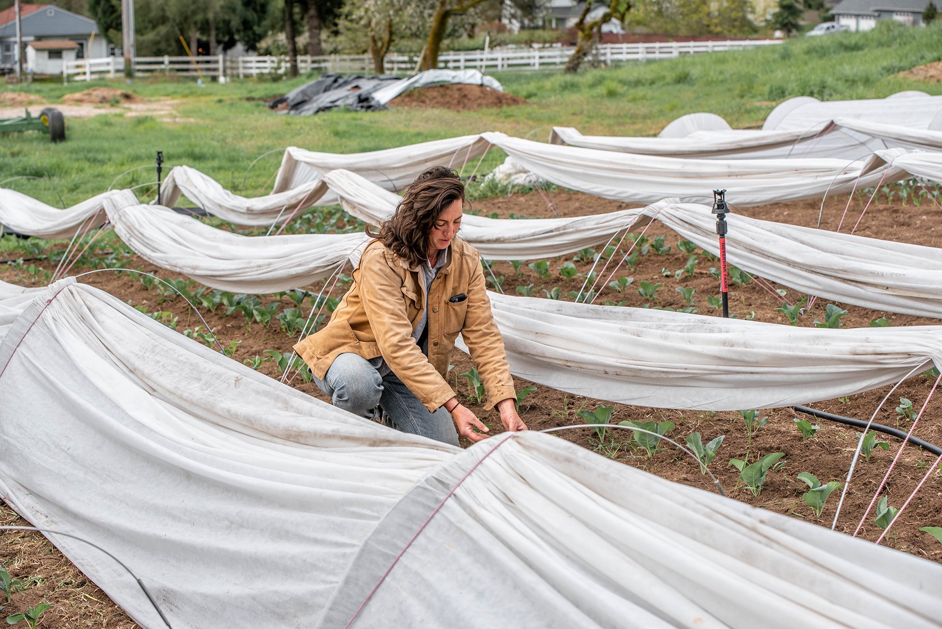 aft-rollingbountyfarm--11.jpg
