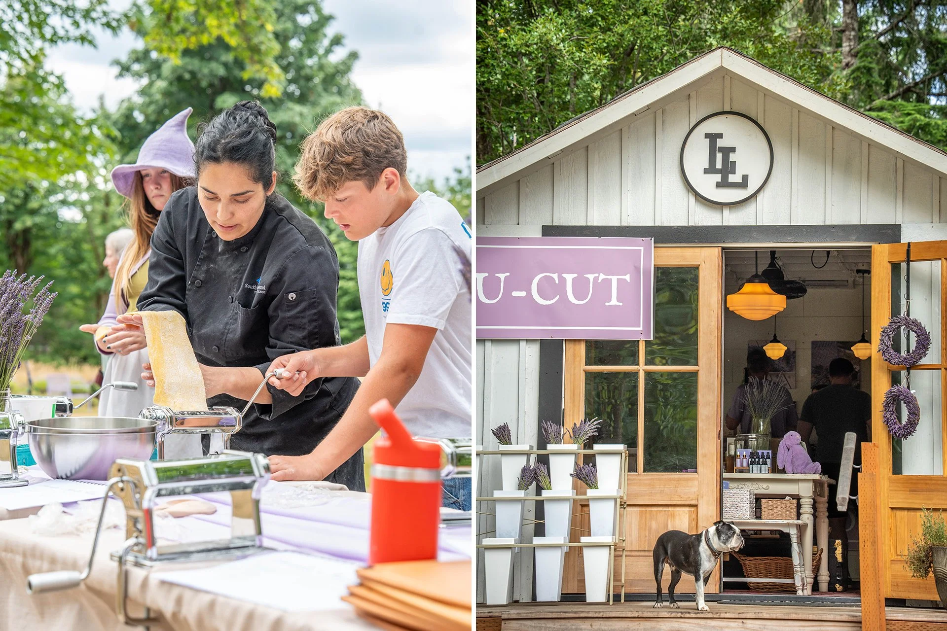 Two images, one featuring a woman helping children roll out pastry dough, and the second the exterior of a u-cut lavender shop with a dog on the front porch.