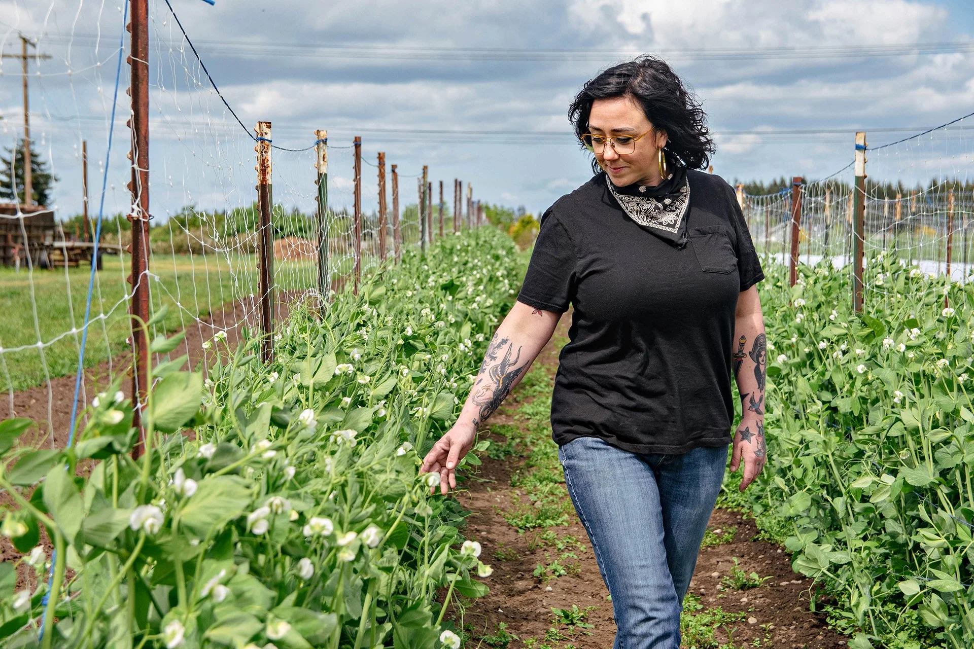 crunch creative farm 04.jpg