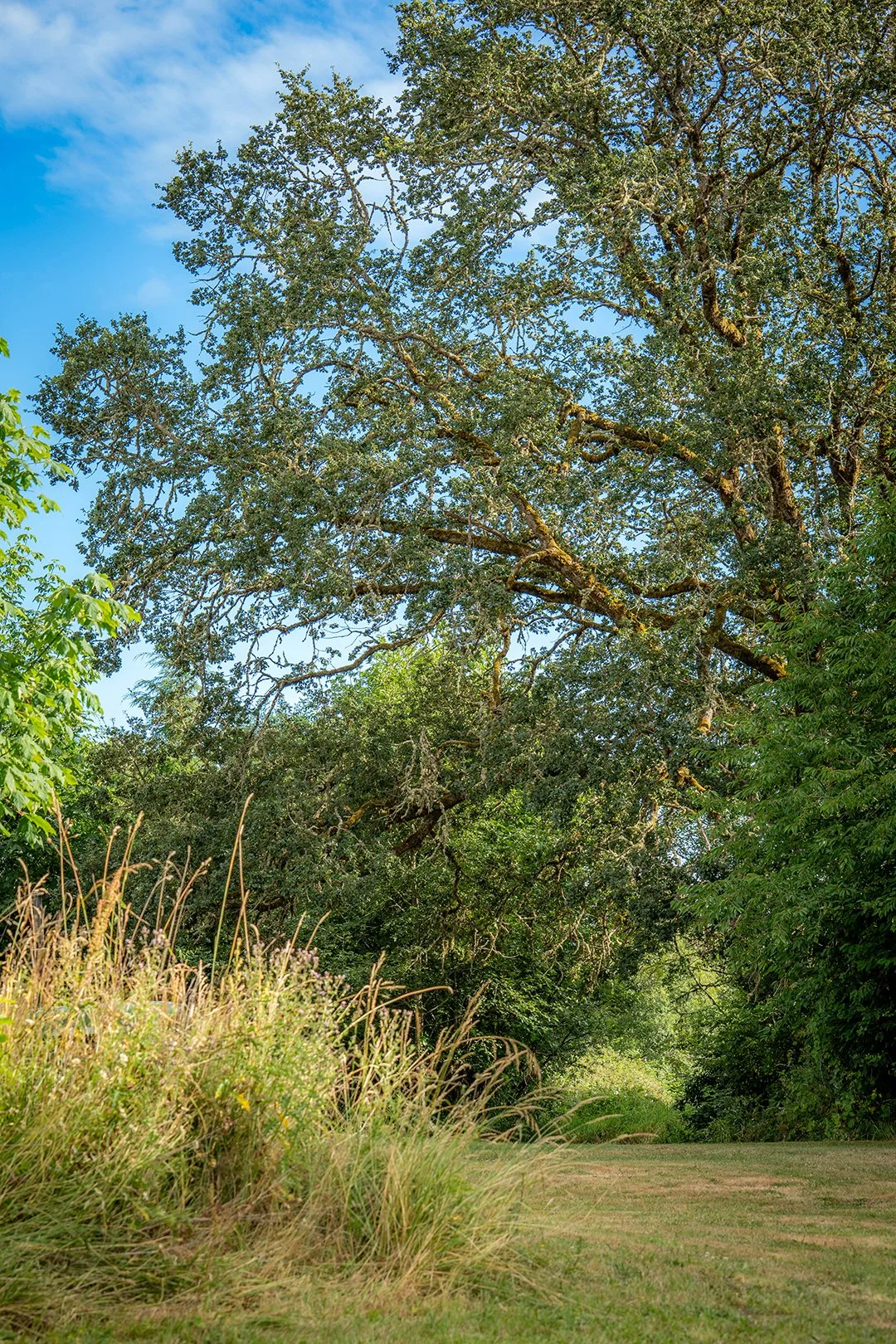 crunchcreative-agphotos33.jpg
