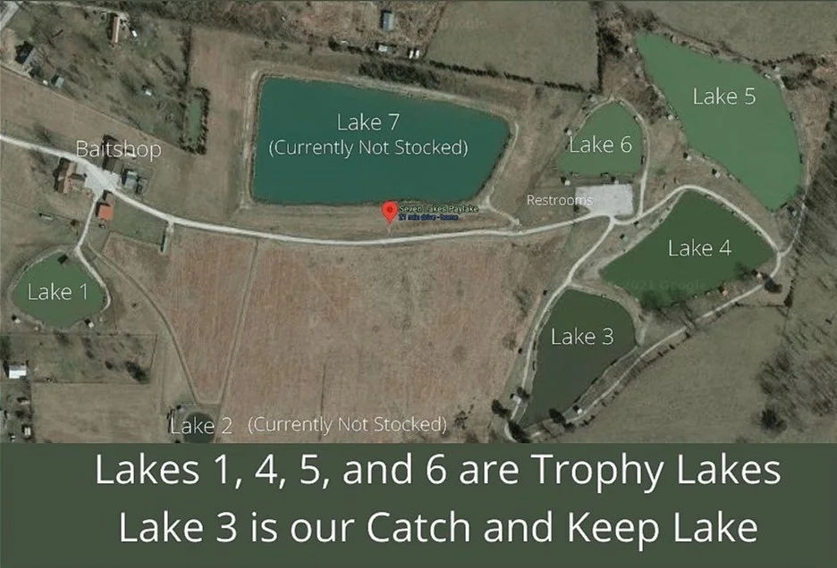 About Seven Lakes Paylake Channel Blue Flathead Catfish Fishing