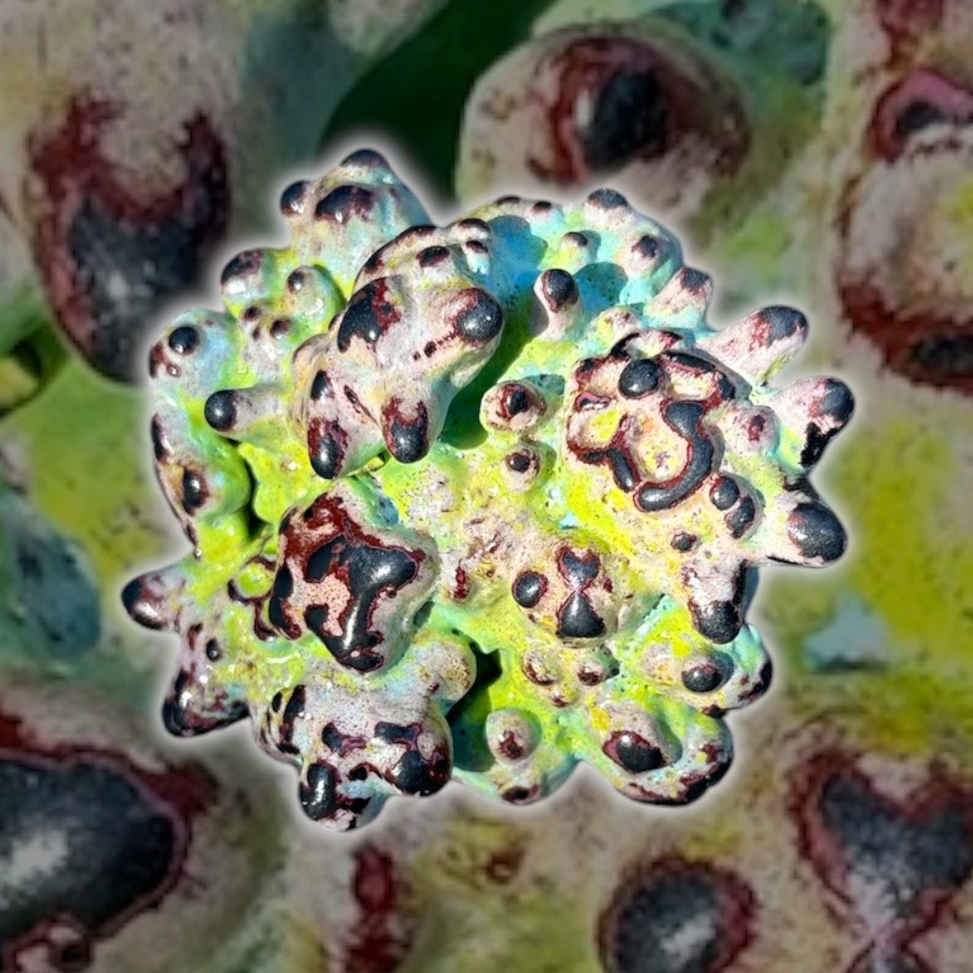 41504BCA-7533-4AB5-81B0-79587C408355.jpeg