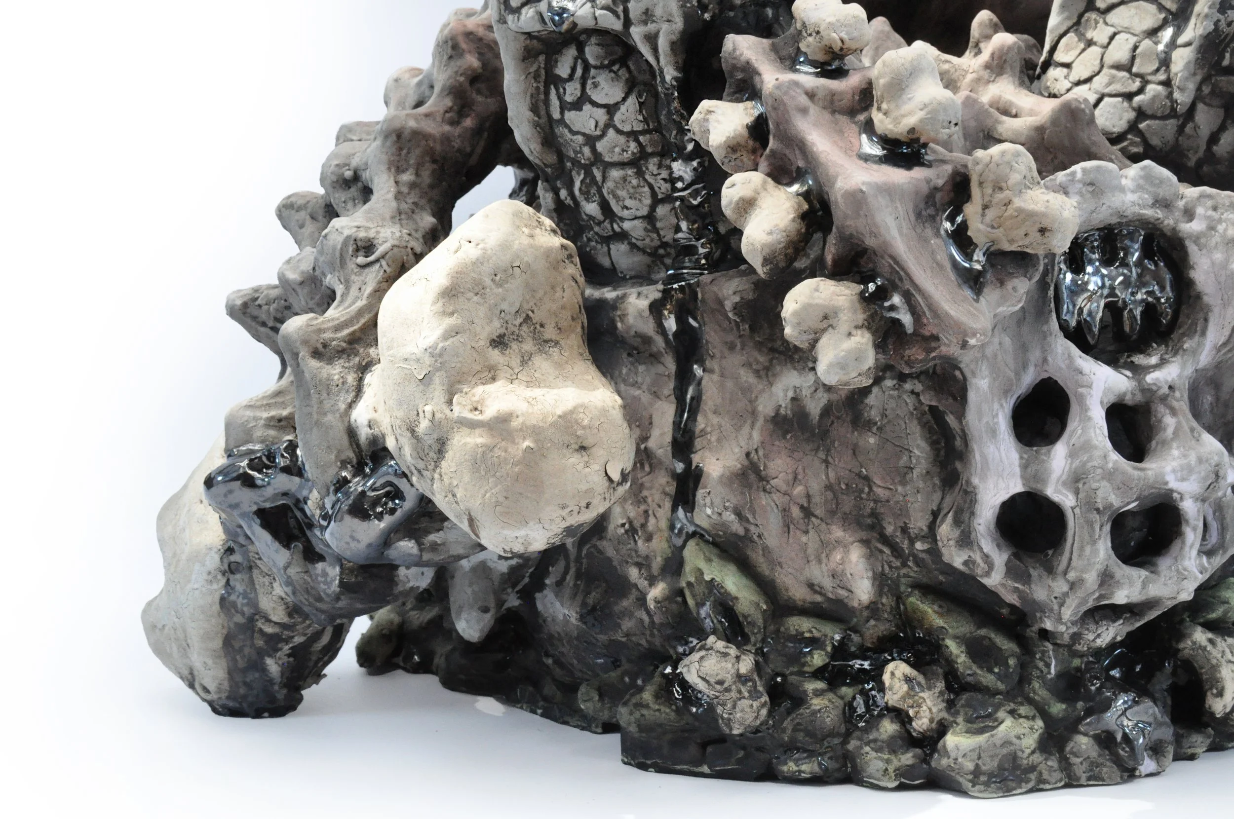 bone4.jpg