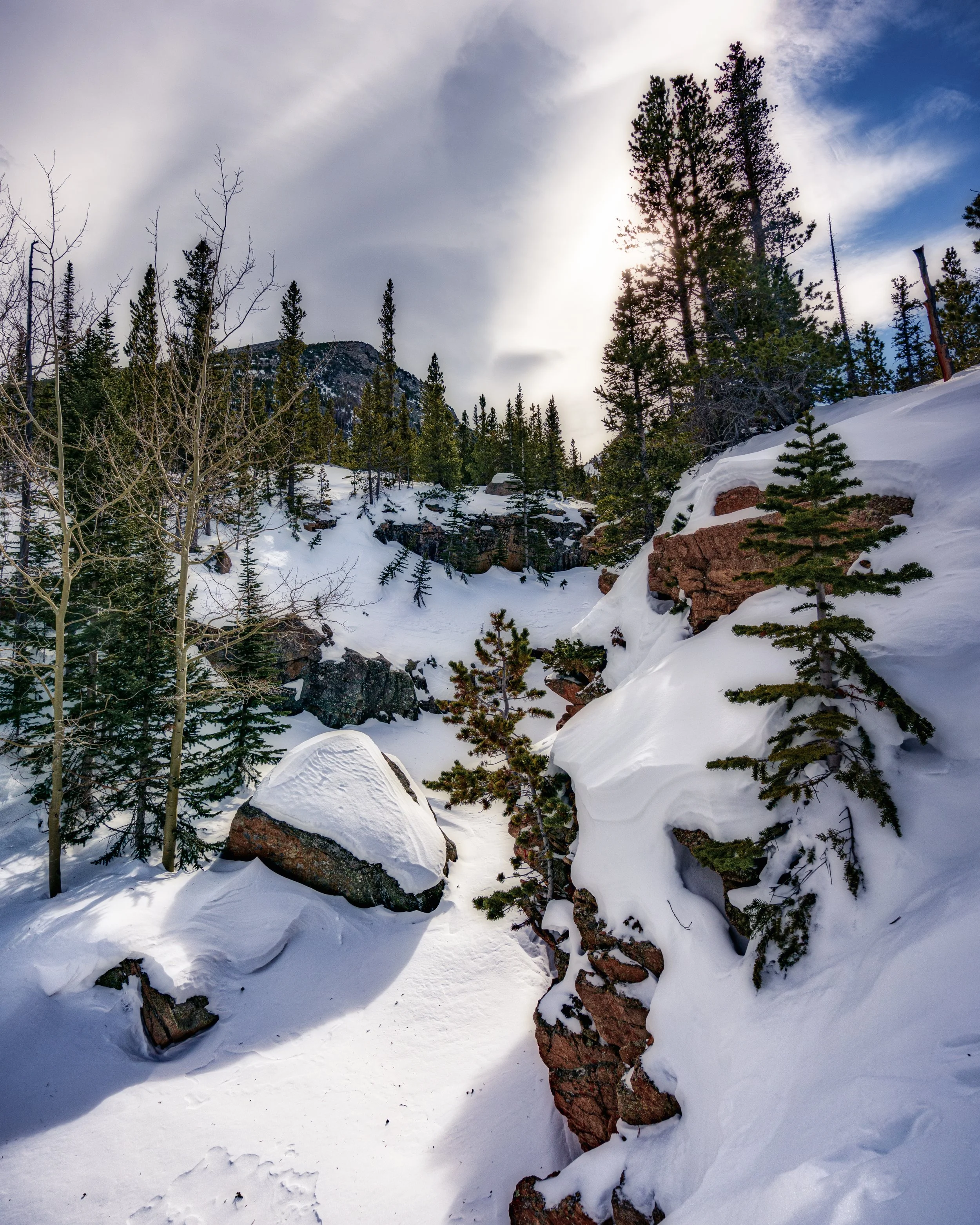 Fresh Snowfall in Rocky Mountain National Park