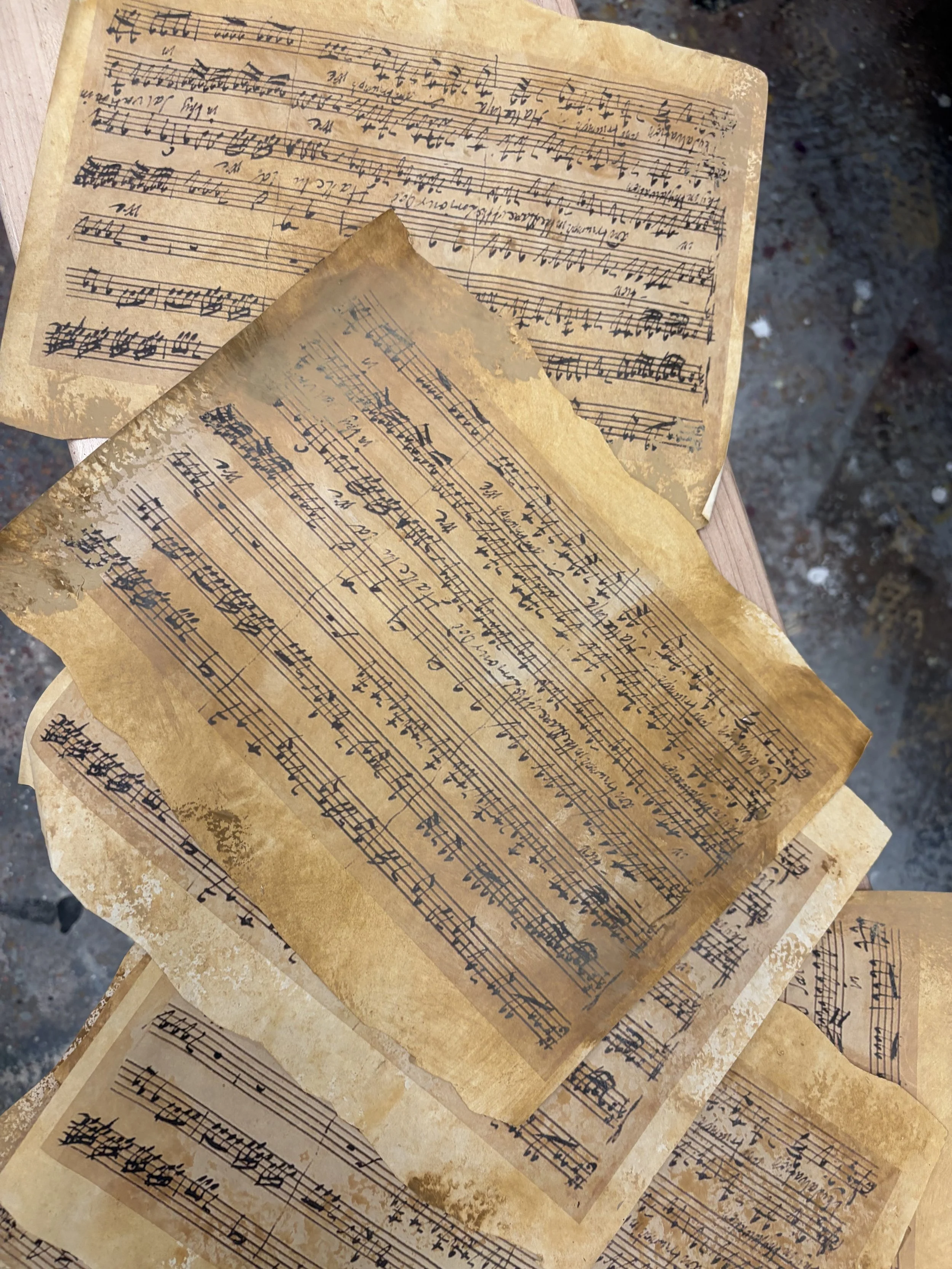 manuscrito.jpg