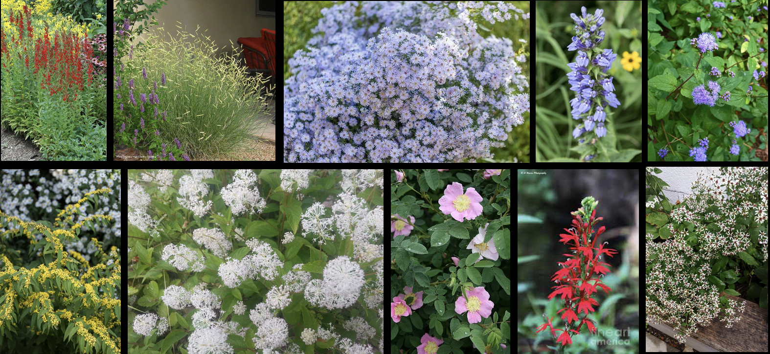 Screenshot 2023-08-27 at 7.21.00 PM.png