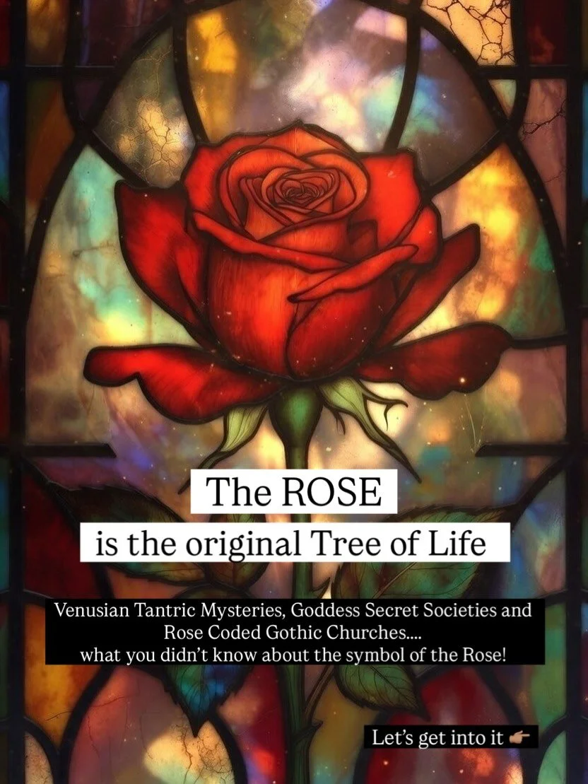 The Rose was never just another flower, she is the hidden esoteric heart of the divine feminine teachings and the original key to the feminine mysteries. 
Before scripture and dogma, the rose revealed the entire spiral of life, love, ritual, regenera