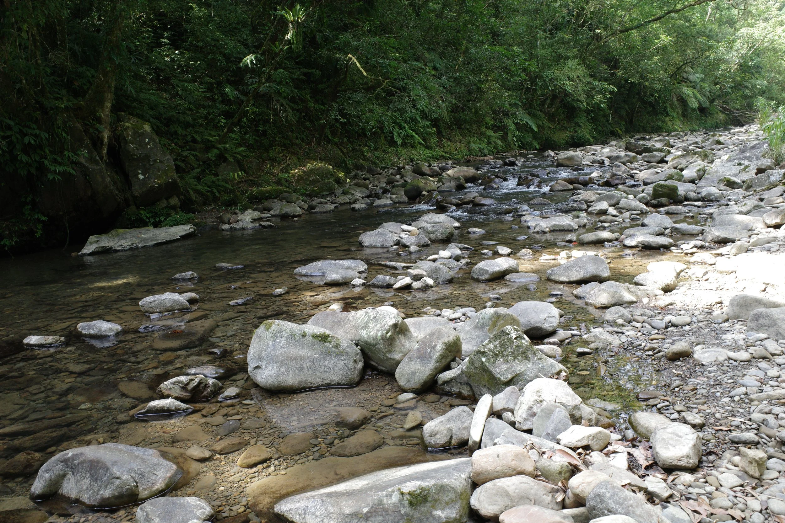 Jingualiao Creek, Pinglin, New Taipei City, July 2022
