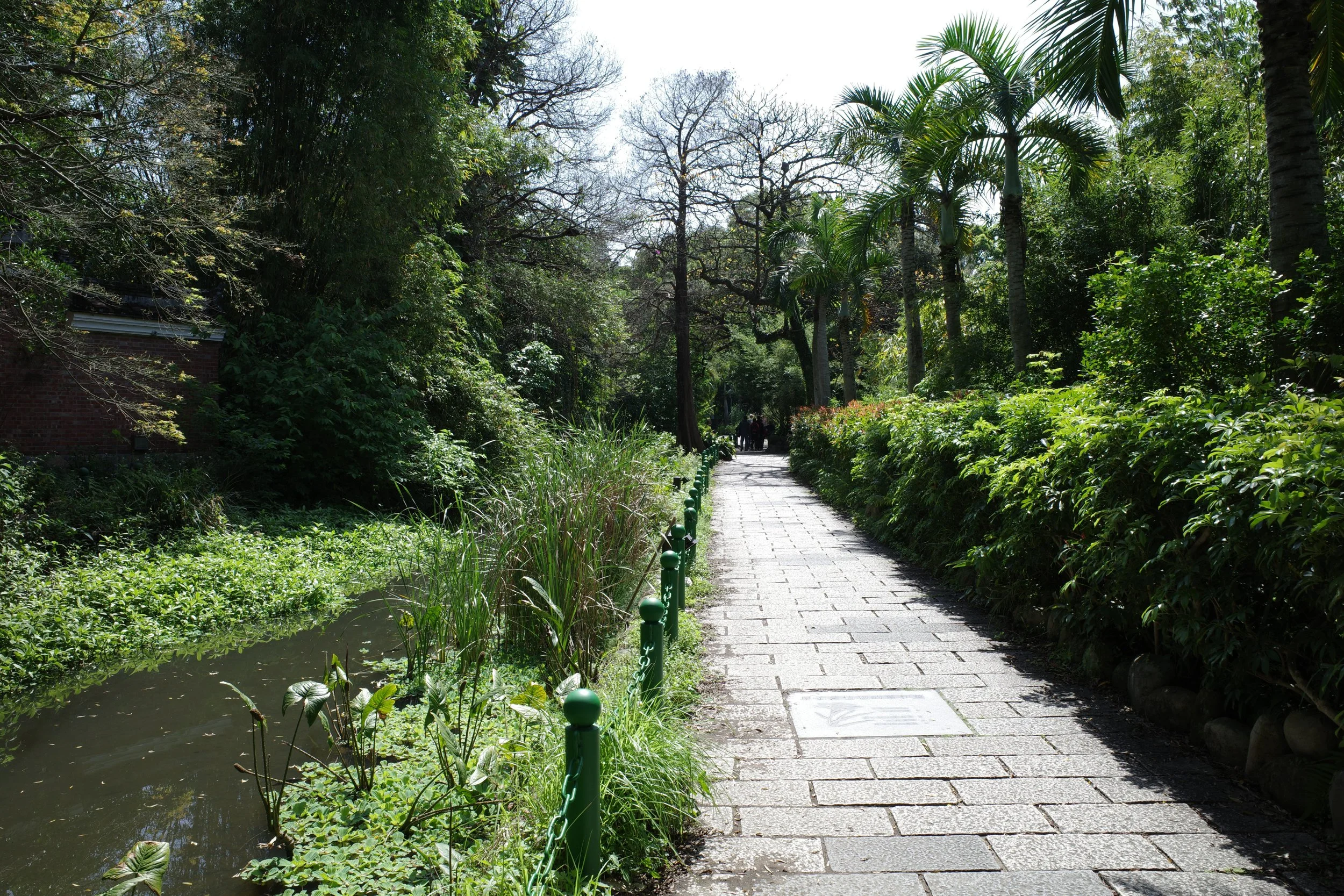 Taipei Botanical Garden, June 2022