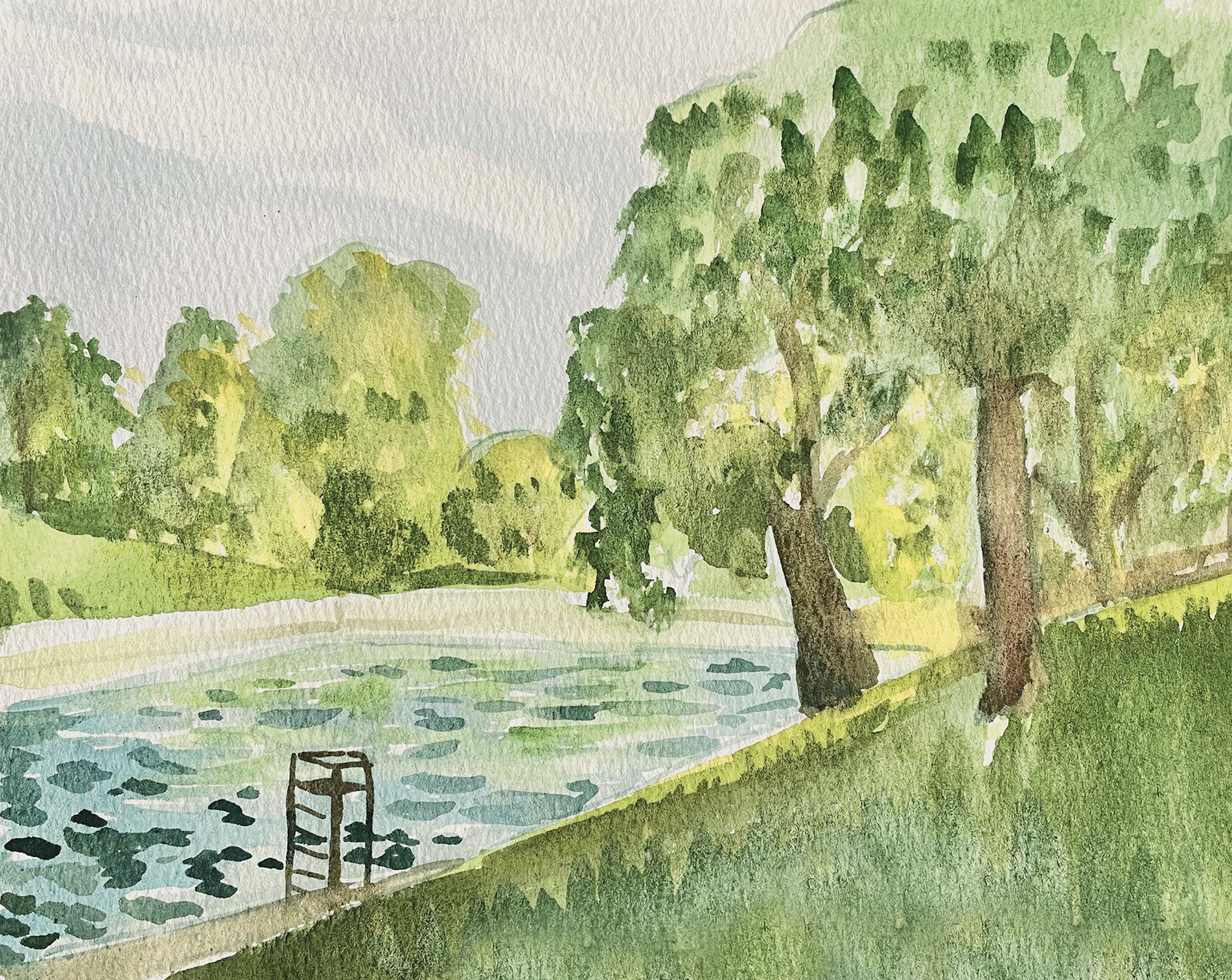 barton springs watercolor painting