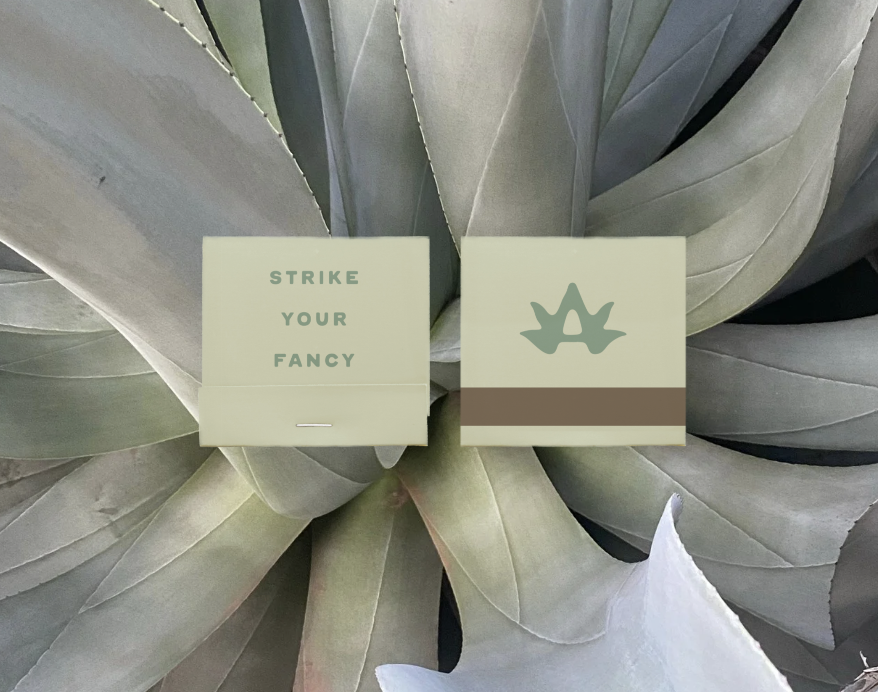 Mockup of match book design for Agave Haus