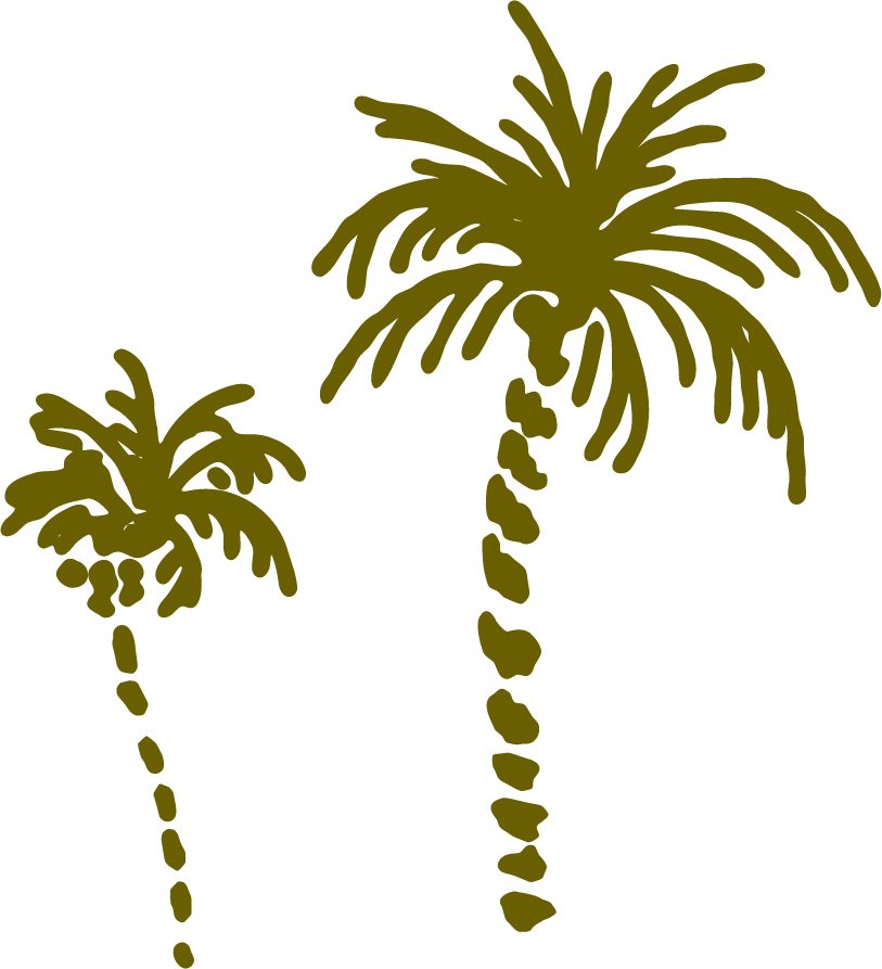 Palm Trees.png