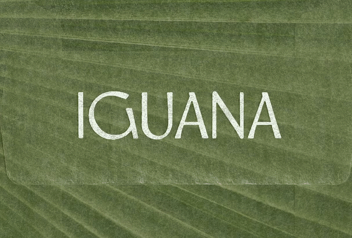 a rolling gif that shows the cover images of fonts made by Meg Burk Choi to advertise her font design and marketing course