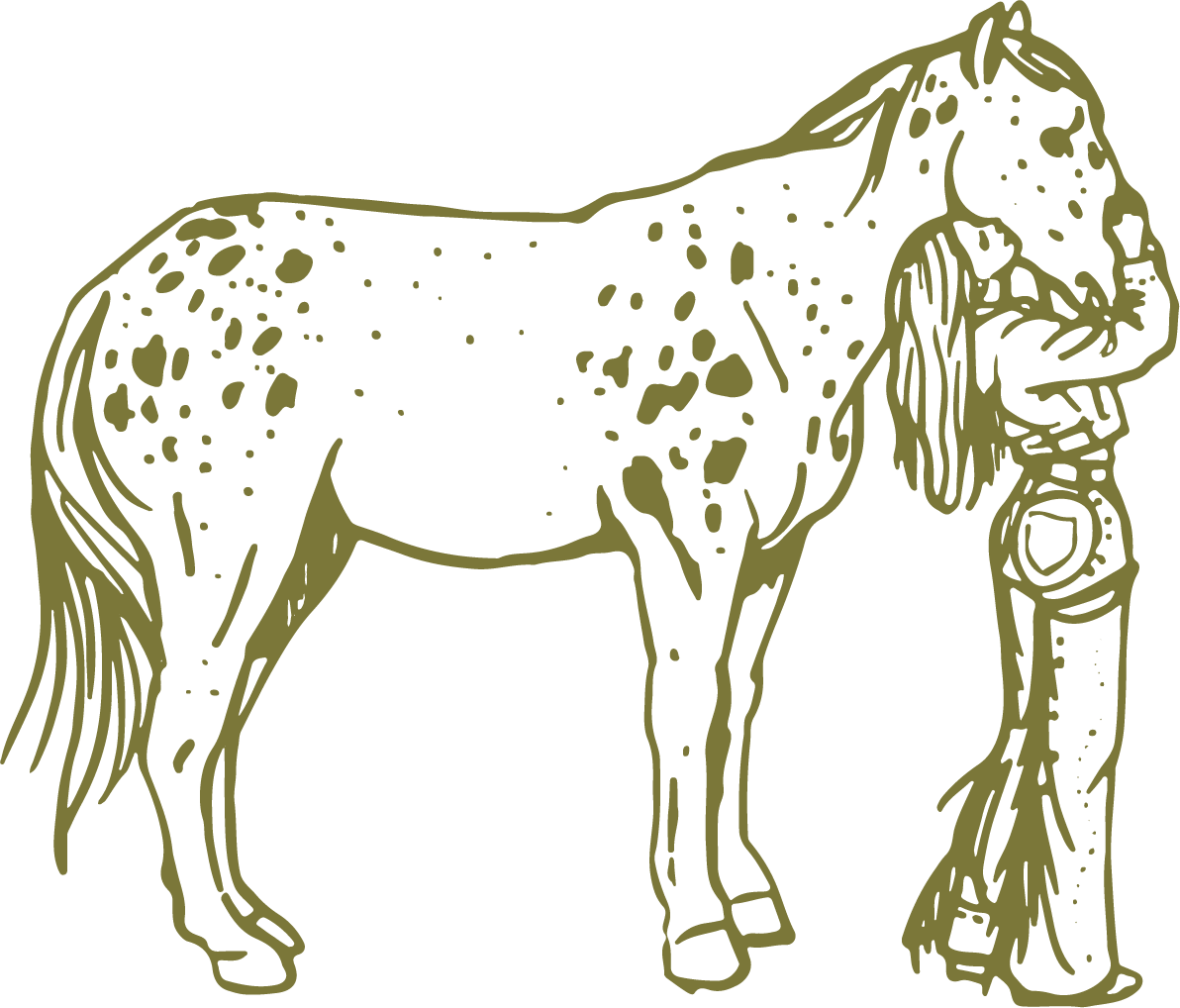 Horse Girl.png