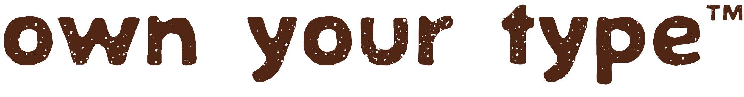 Own Your Type Course Logo and Page Title a font design and selling course by Meg Burk Choi