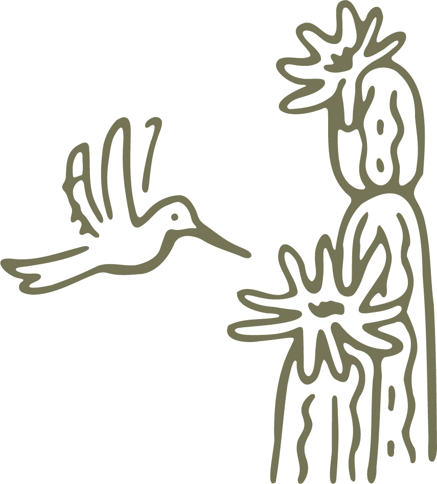 Hummingbird and Cactus.png