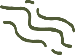 〰 Flow State Momentum Wave Icon Meg Burk