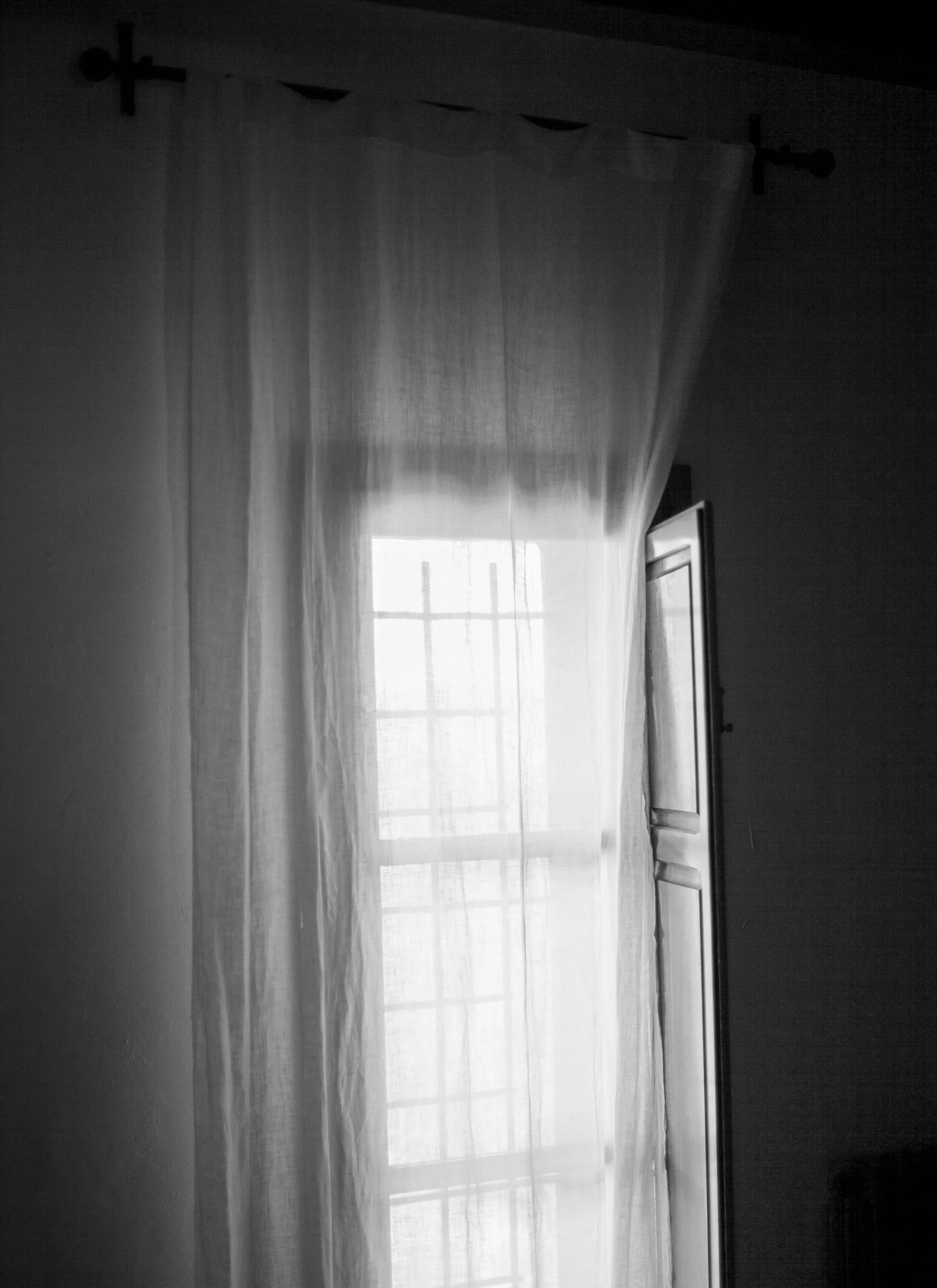 IMG_3590.jpg