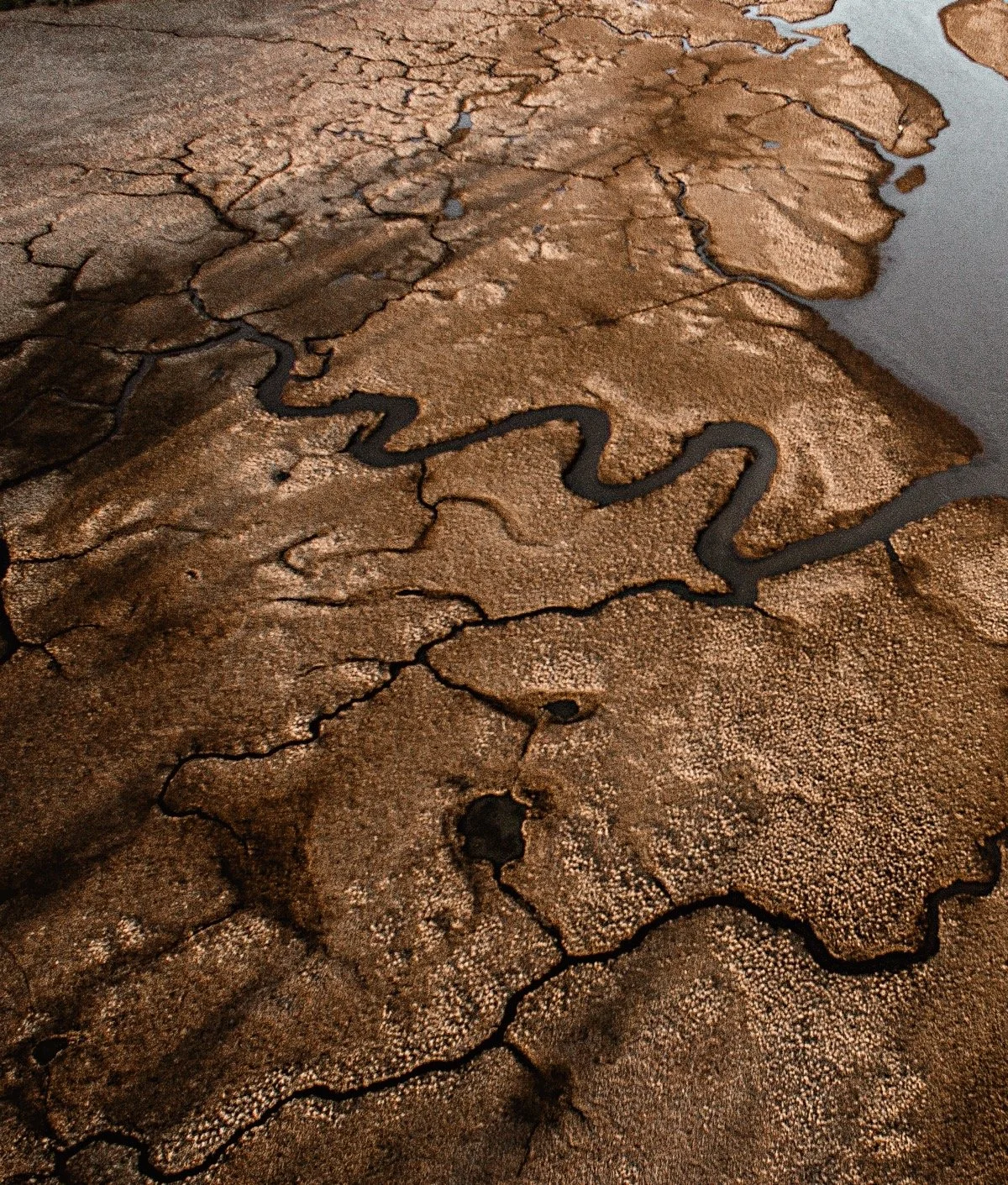 2016-12-30 16.06.12.jpg