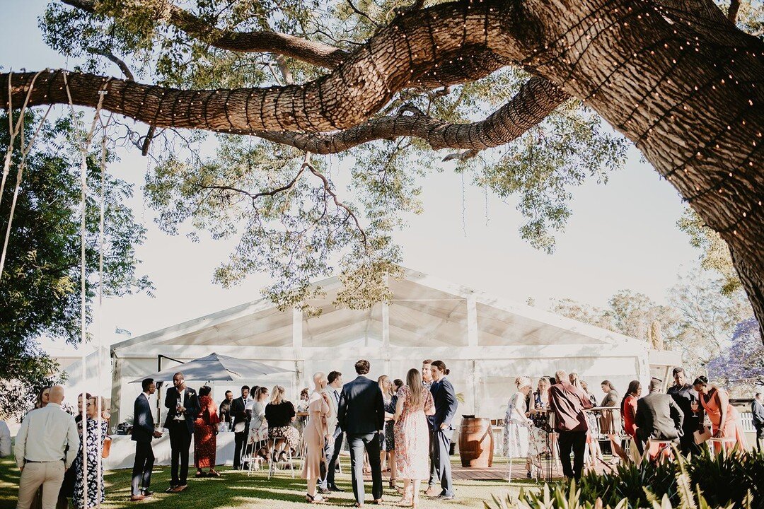 Our stunning Marquee is perfect all year round. 🥂

Marquee - @rangeeventhire 

 #qldwedding #toowoomba #toowoombalife #toowoombalocal #toowoombaliving #weddingday #toowoombaregion #theridgetoowoomba